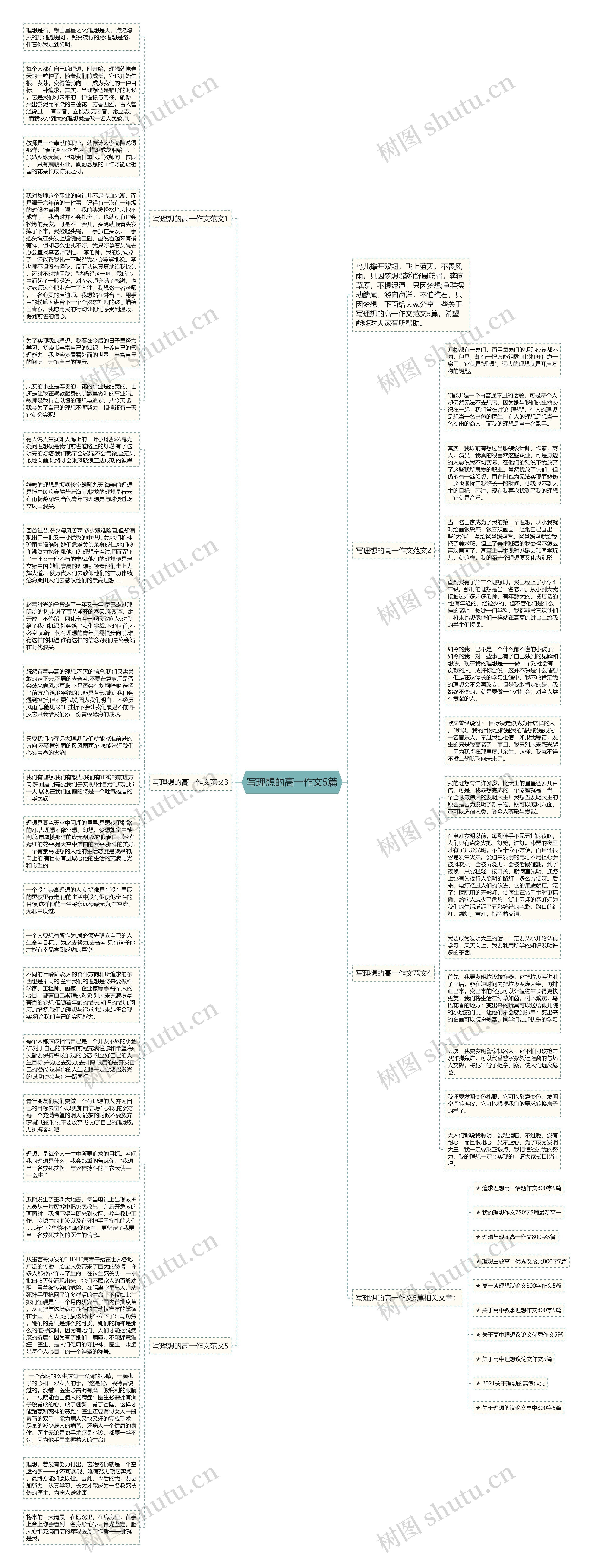 写理想的高一作文5篇思维导图
