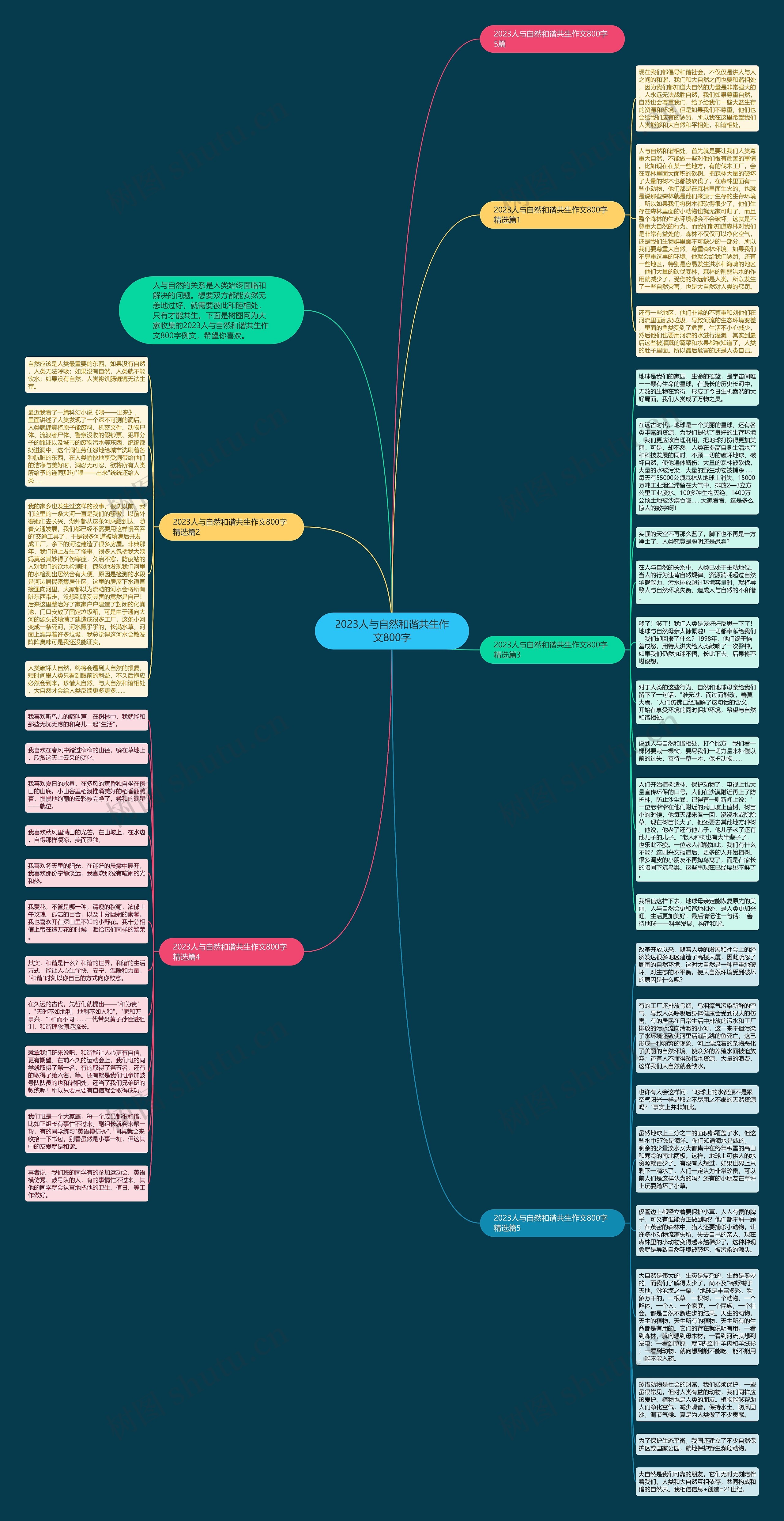 2023人与自然和谐共生作文800字思维导图