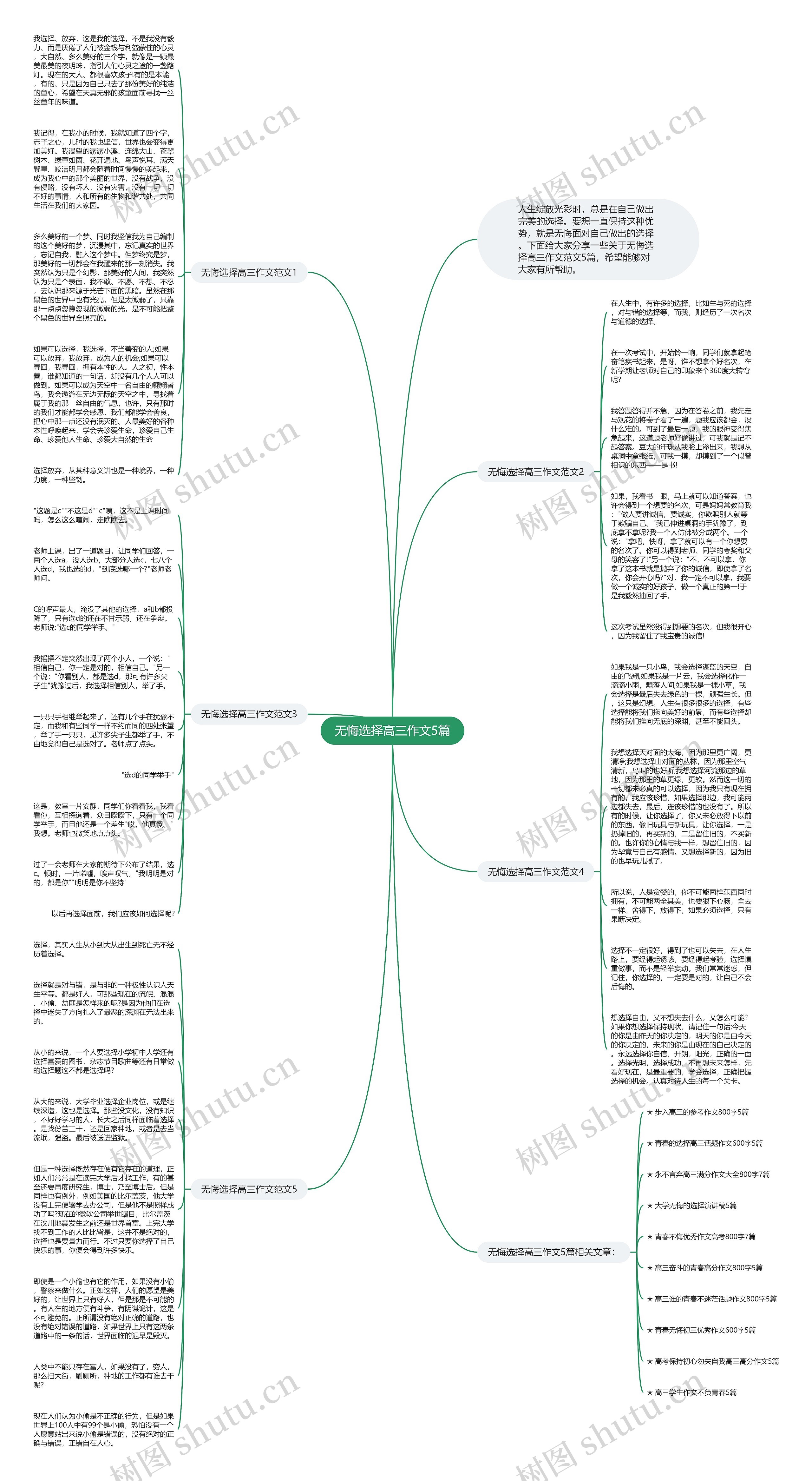 无悔选择高三作文5篇思维导图