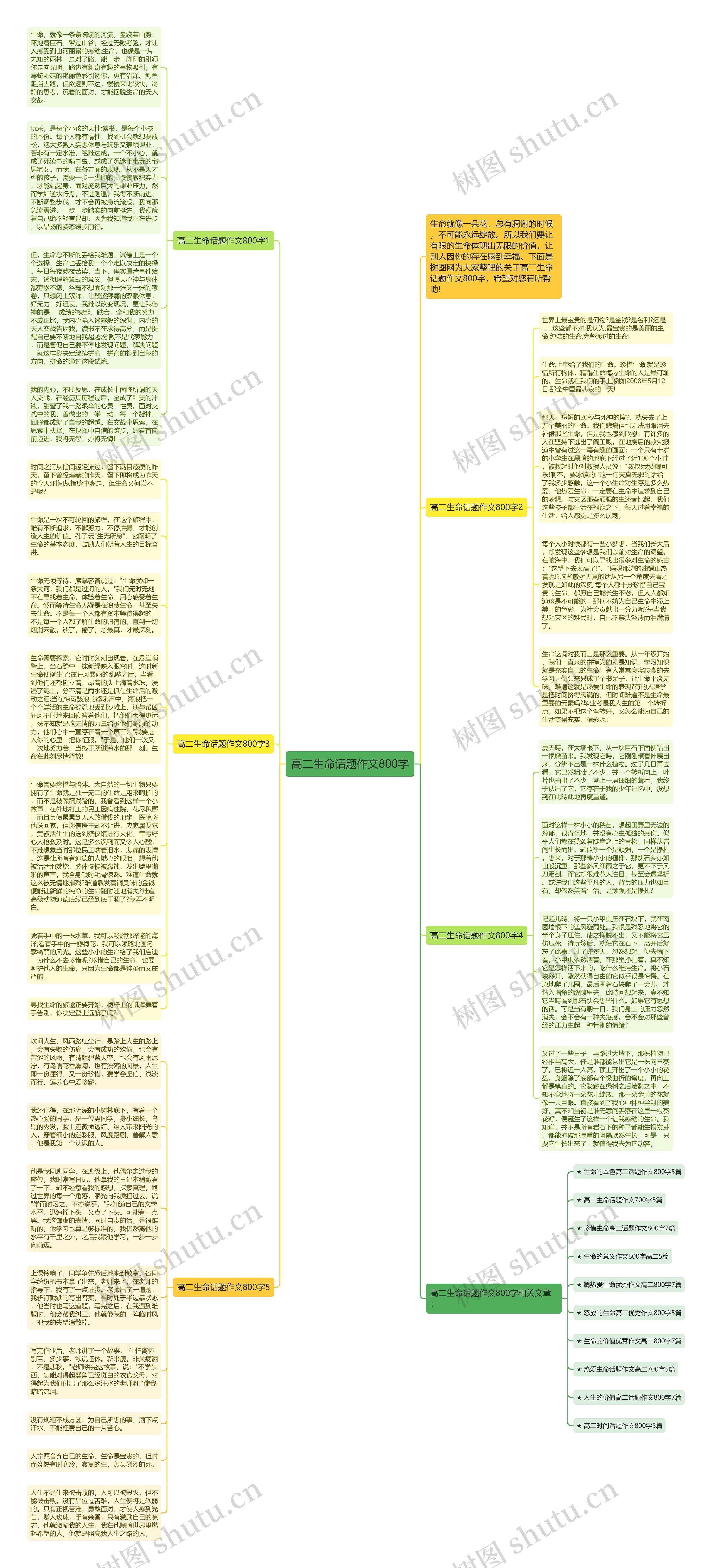 高二生命话题作文800字思维导图
