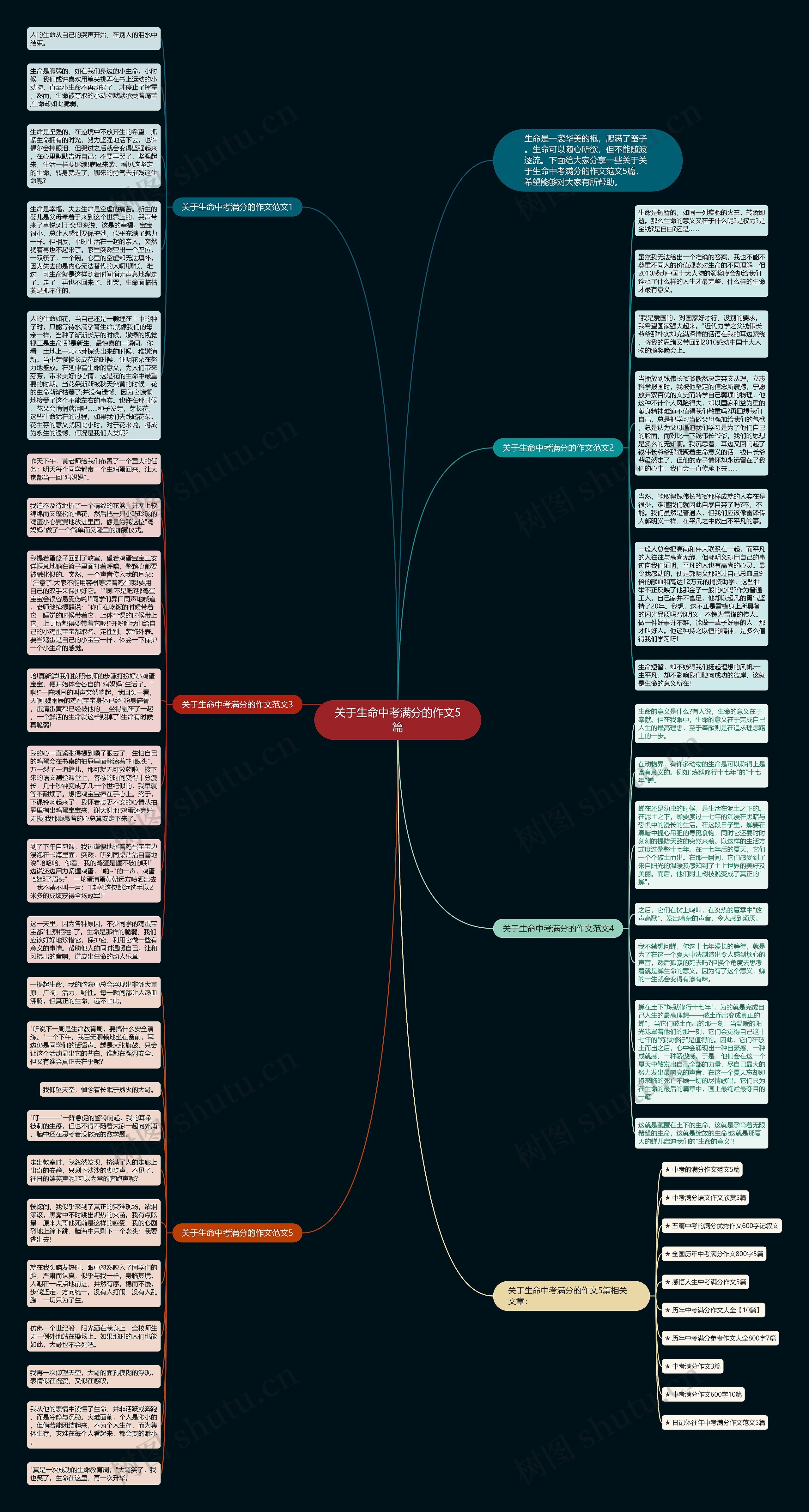 关于生命中考满分的作文5篇思维导图