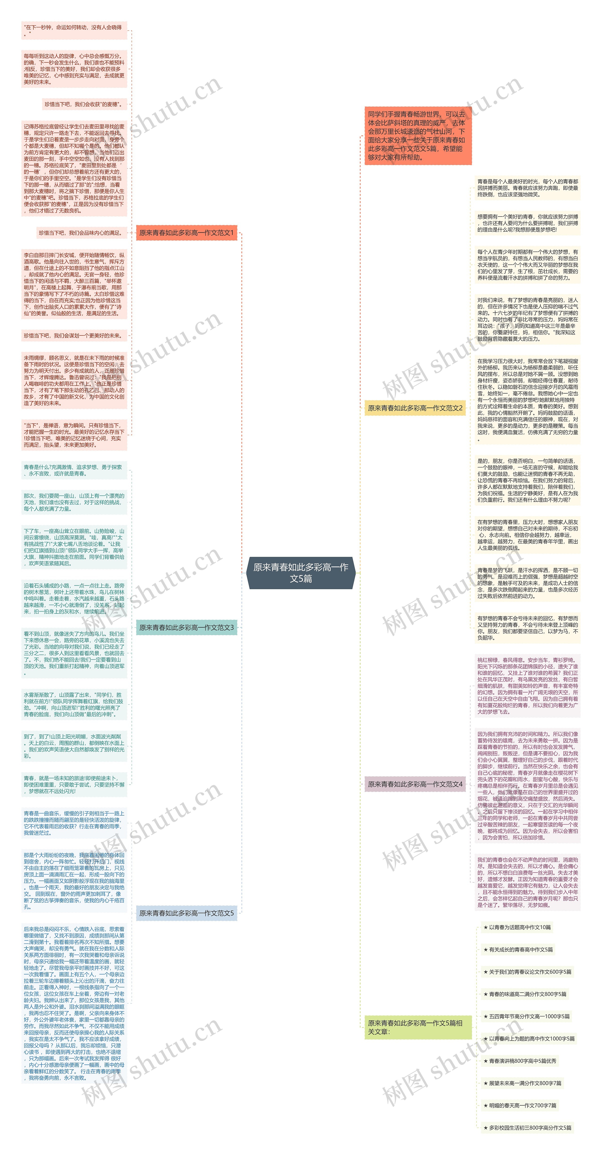 原来青春如此多彩高一作文5篇思维导图