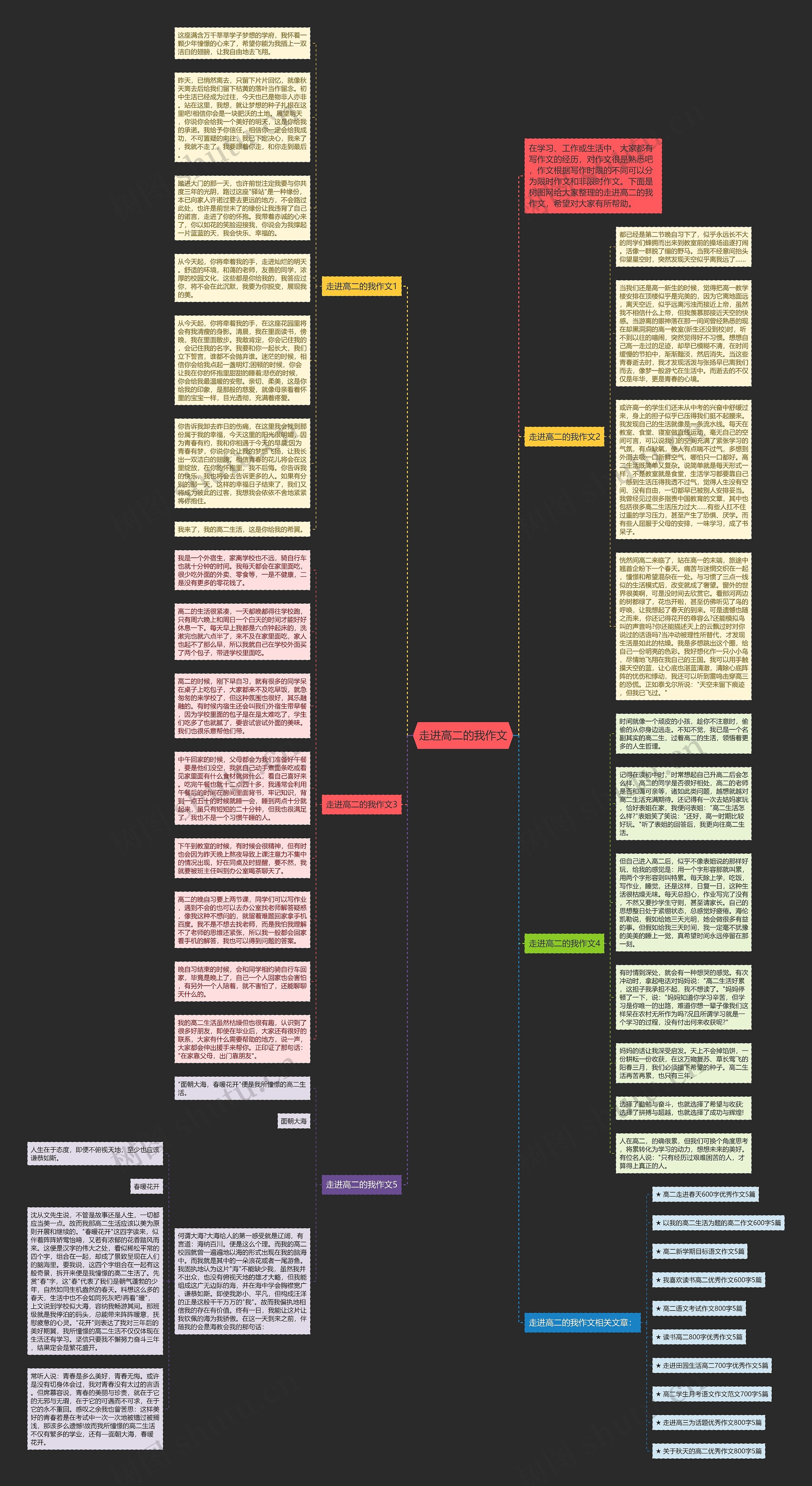 走进高二的我作文思维导图