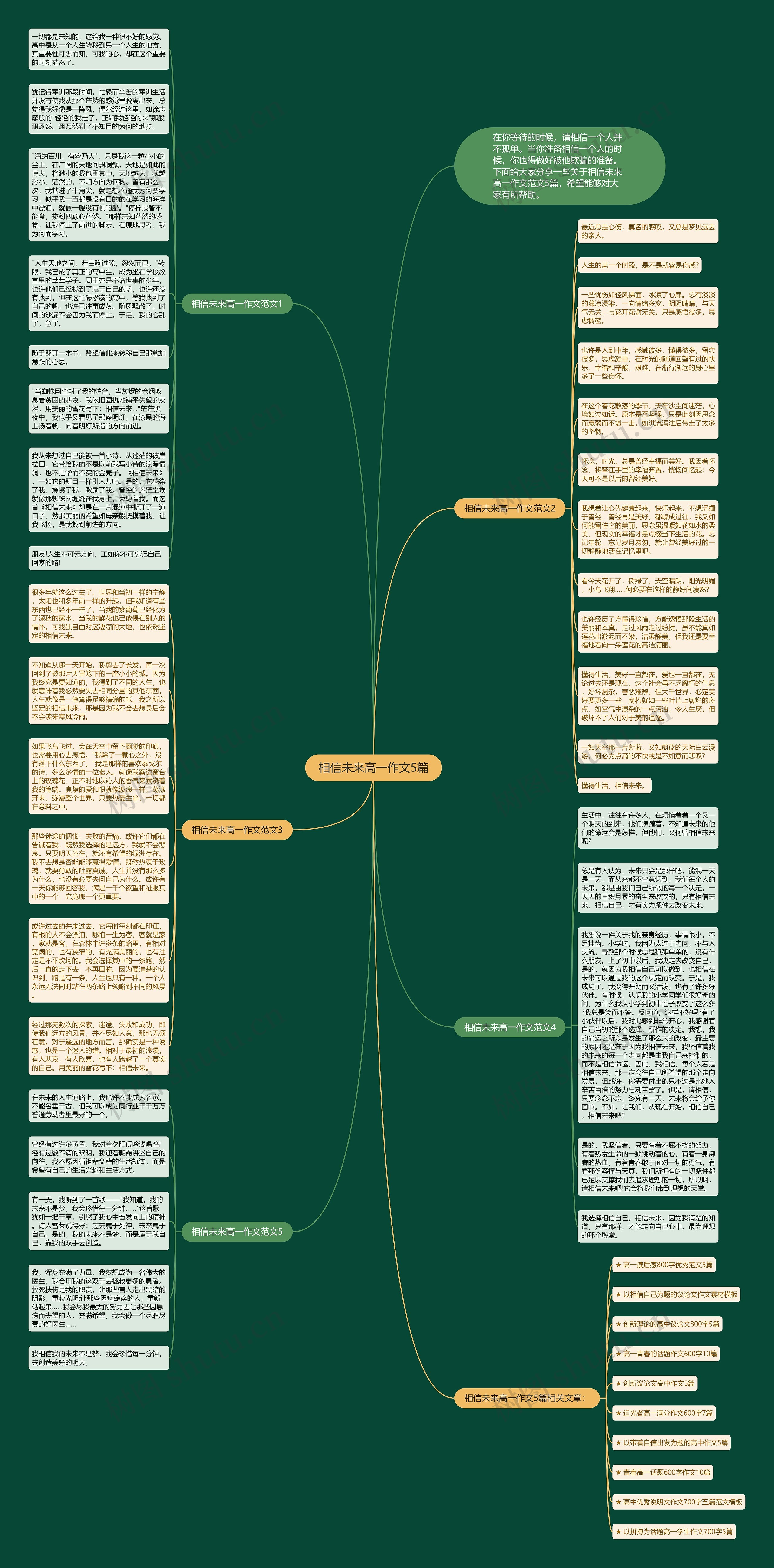 相信未来高一作文5篇思维导图