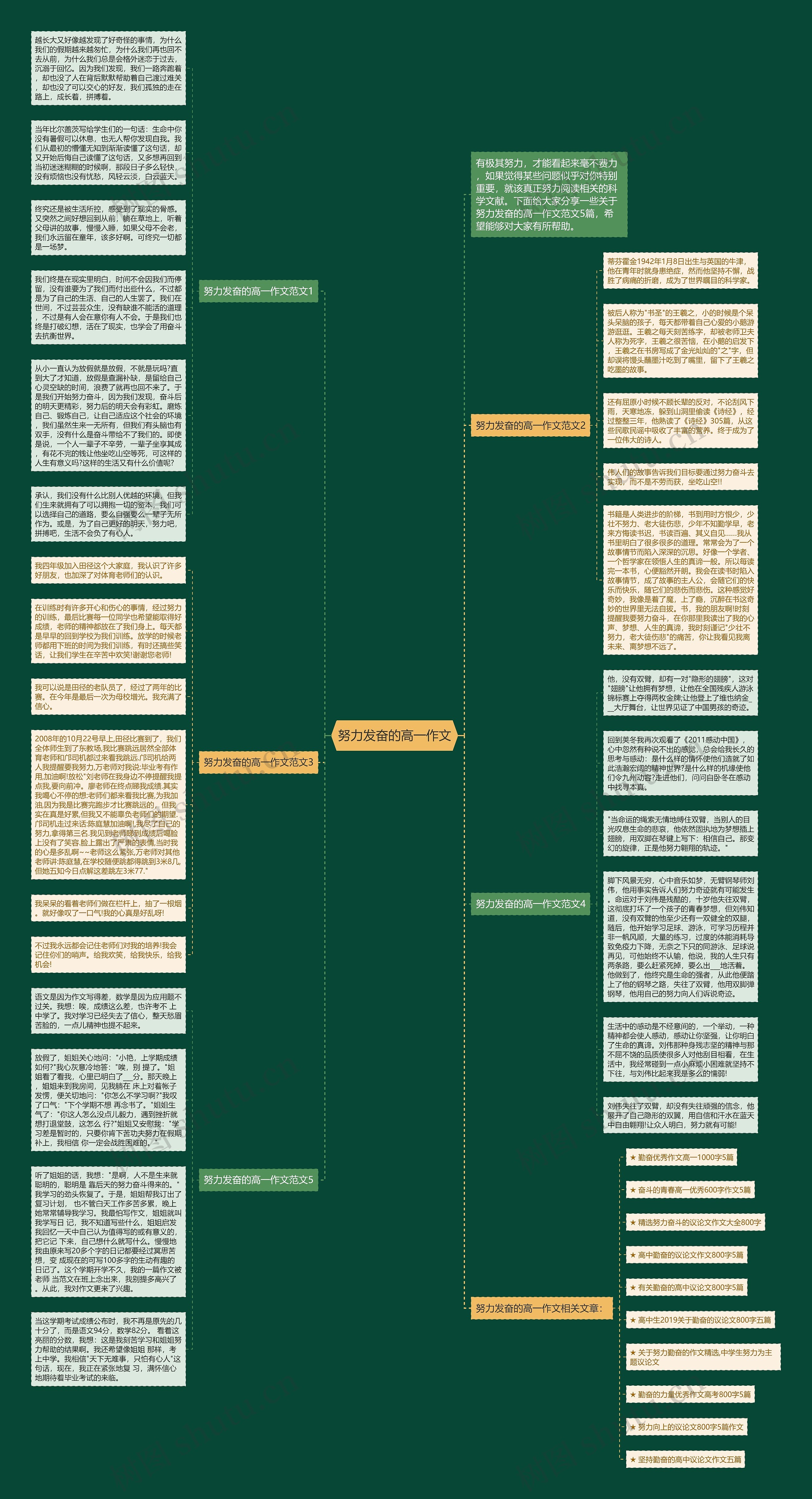 努力发奋的高一作文思维导图