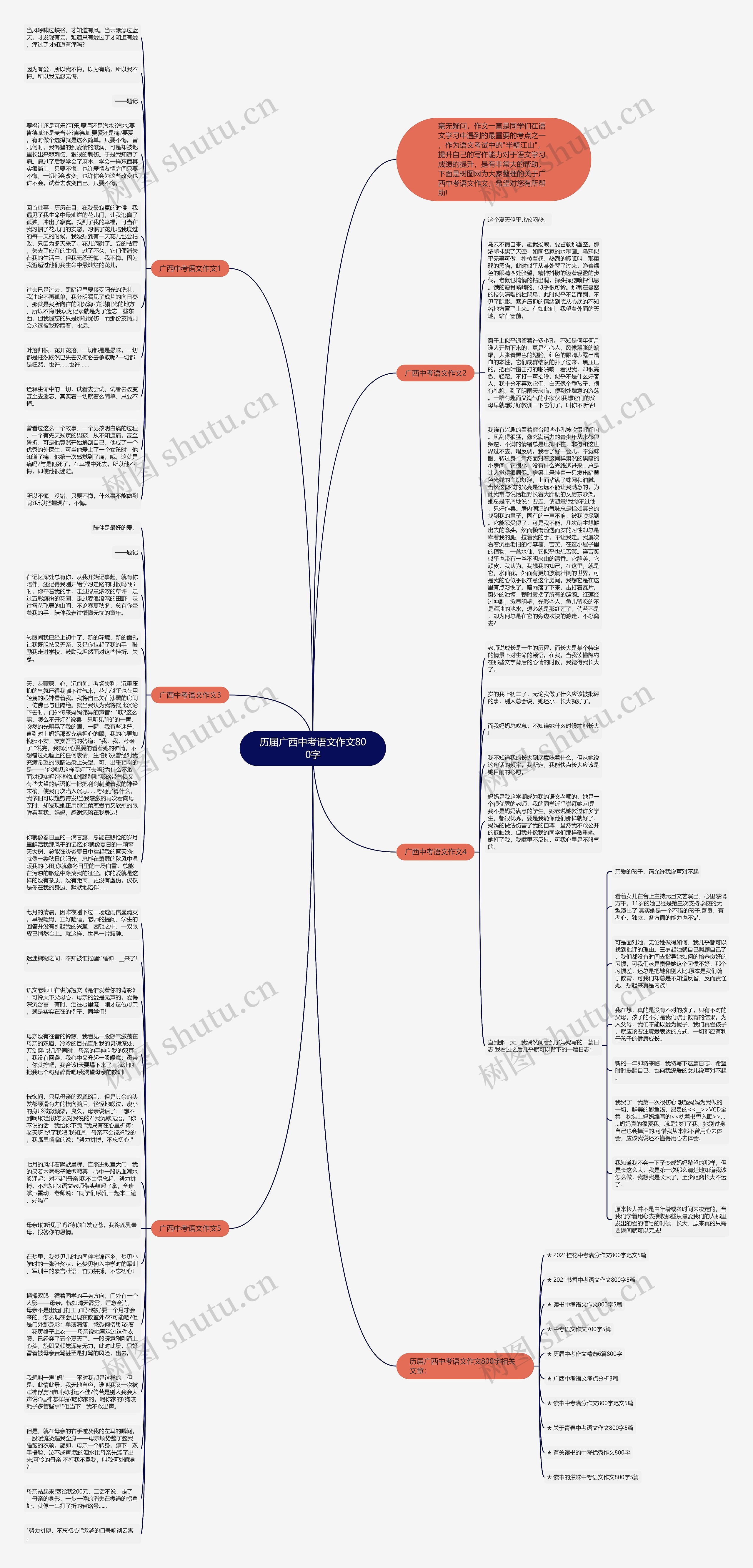 历届广西中考语文作文800字思维导图