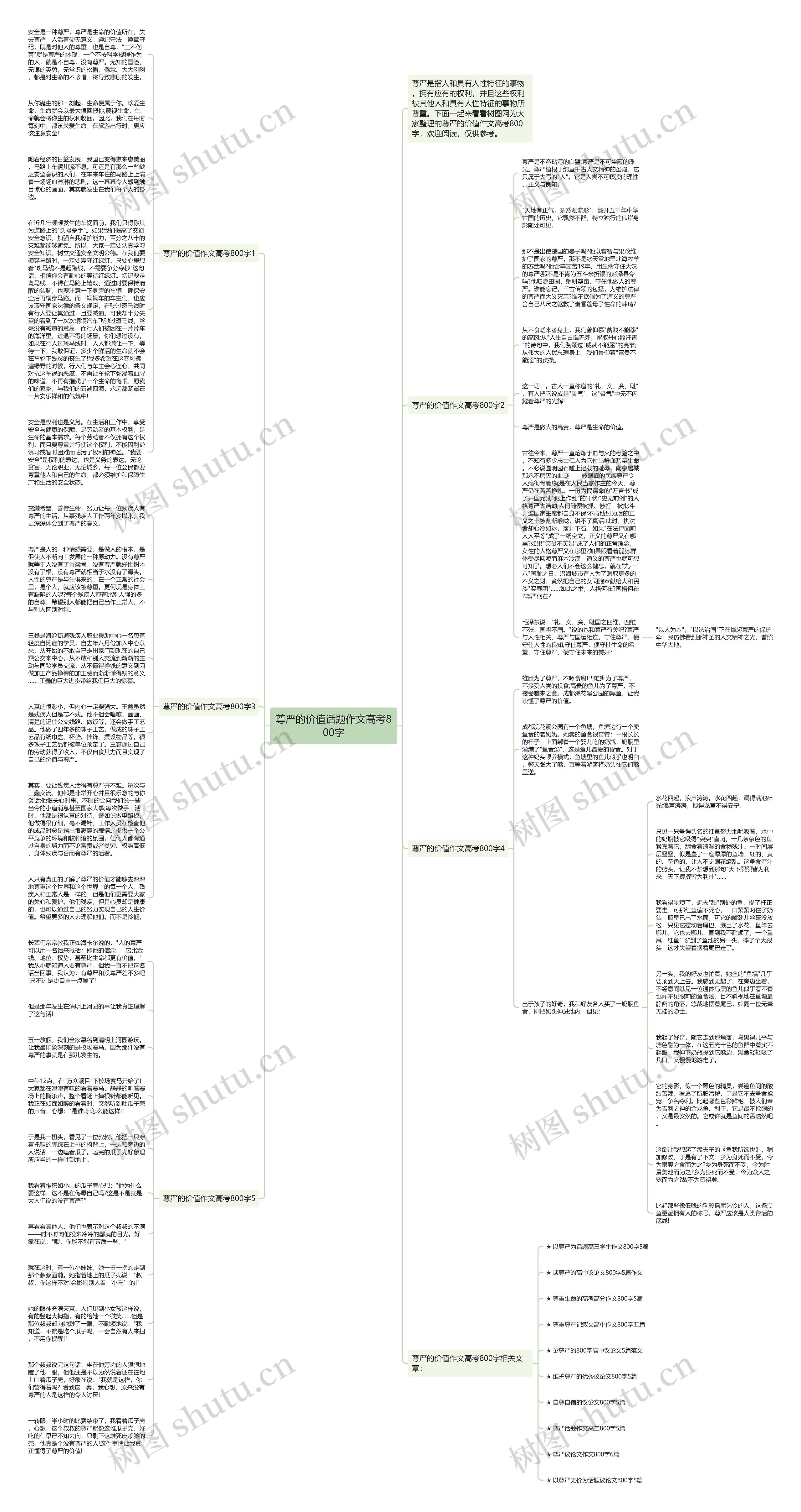尊严的价值话题作文高考800字思维导图