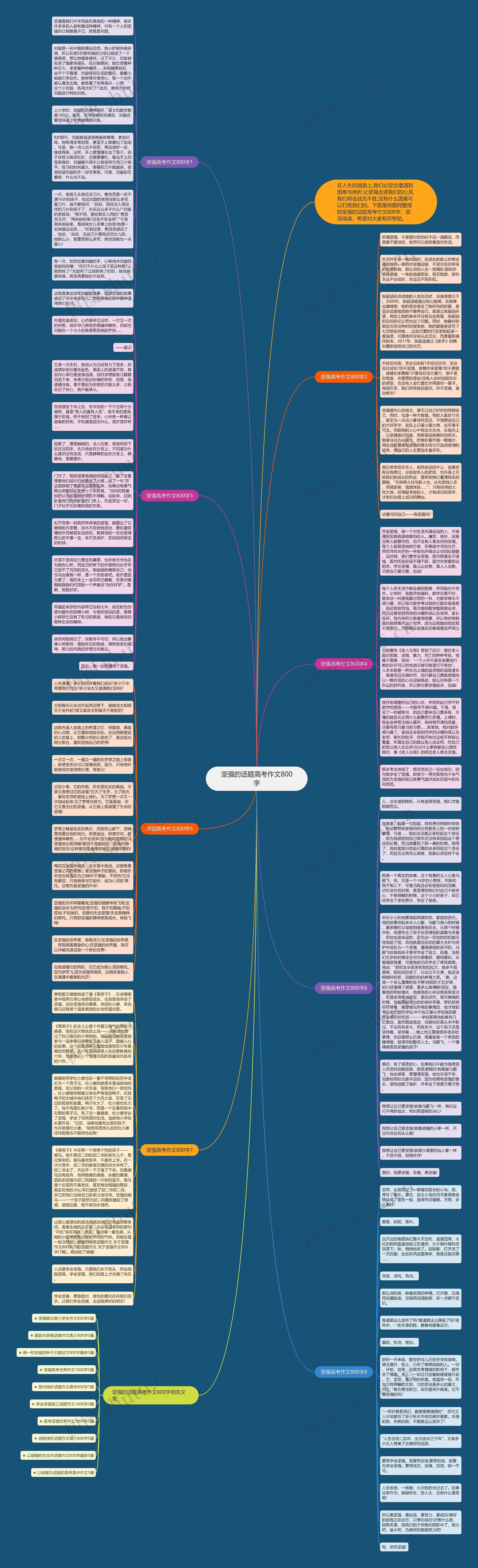 坚强的话题高考作文800字思维导图