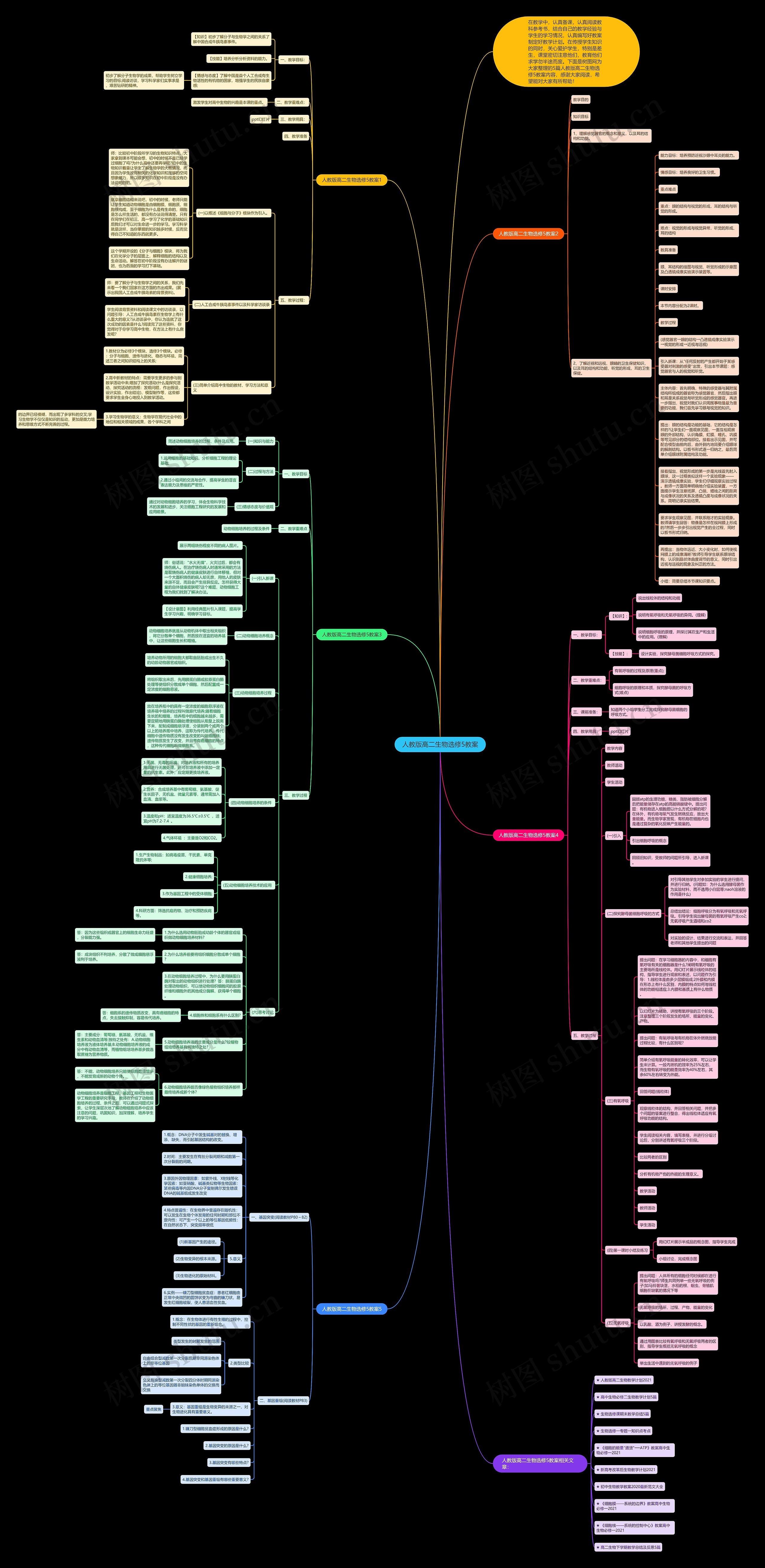 人教版高二生物选修5教案思维导图