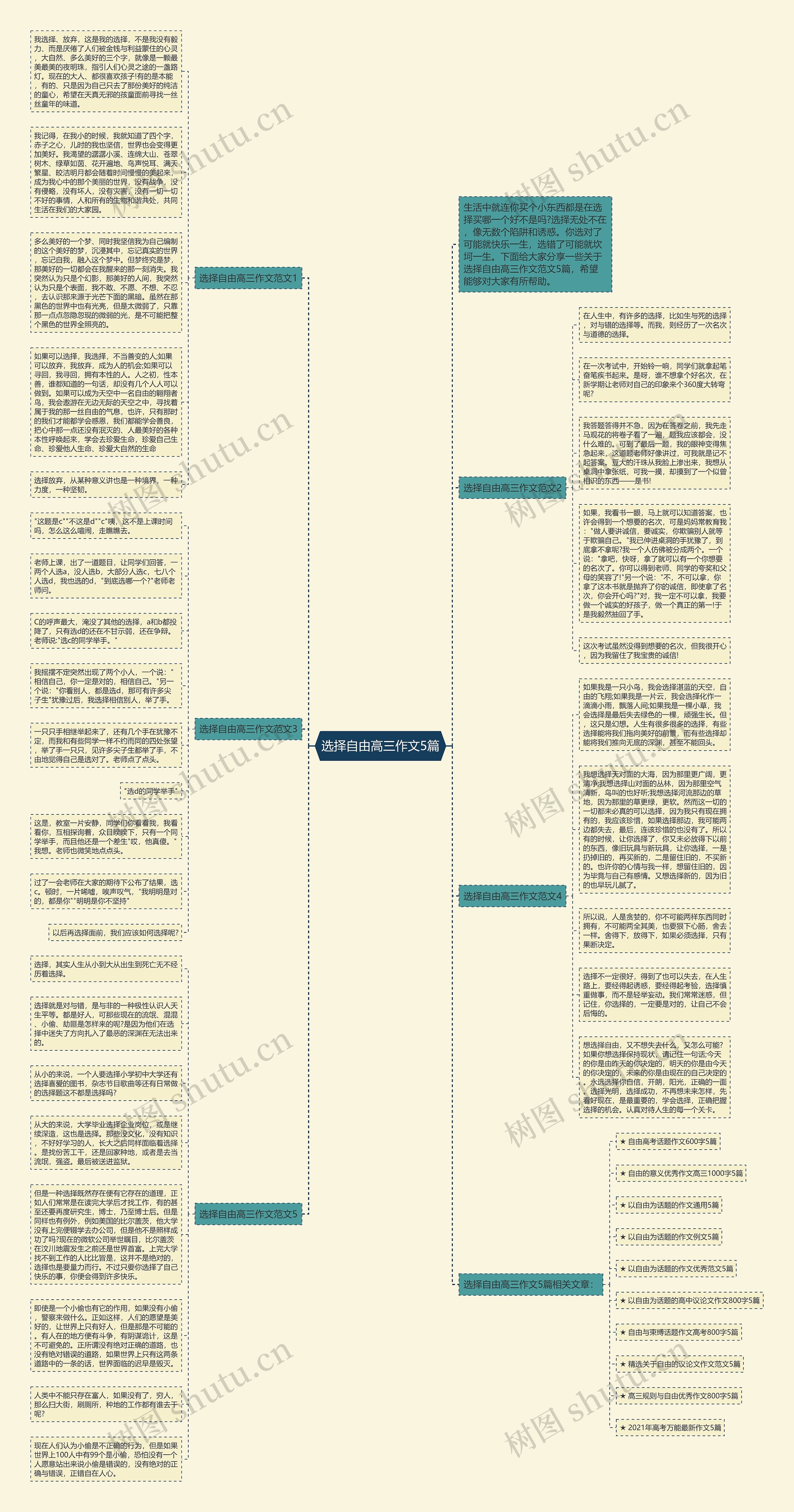 选择自由高三作文5篇思维导图