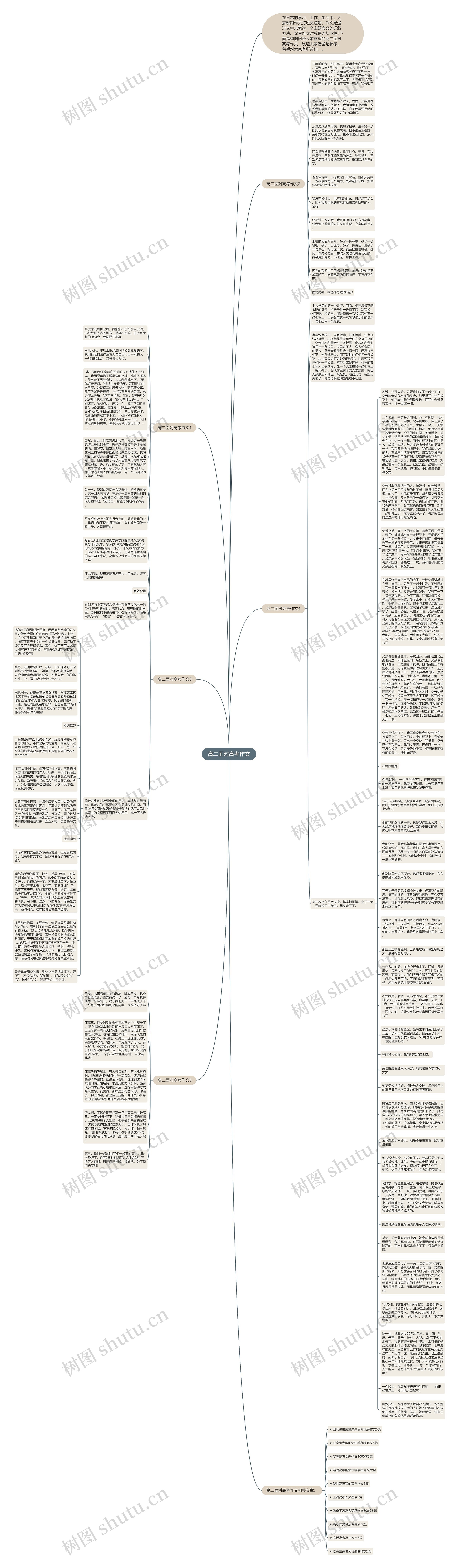高二面对高考作文思维导图