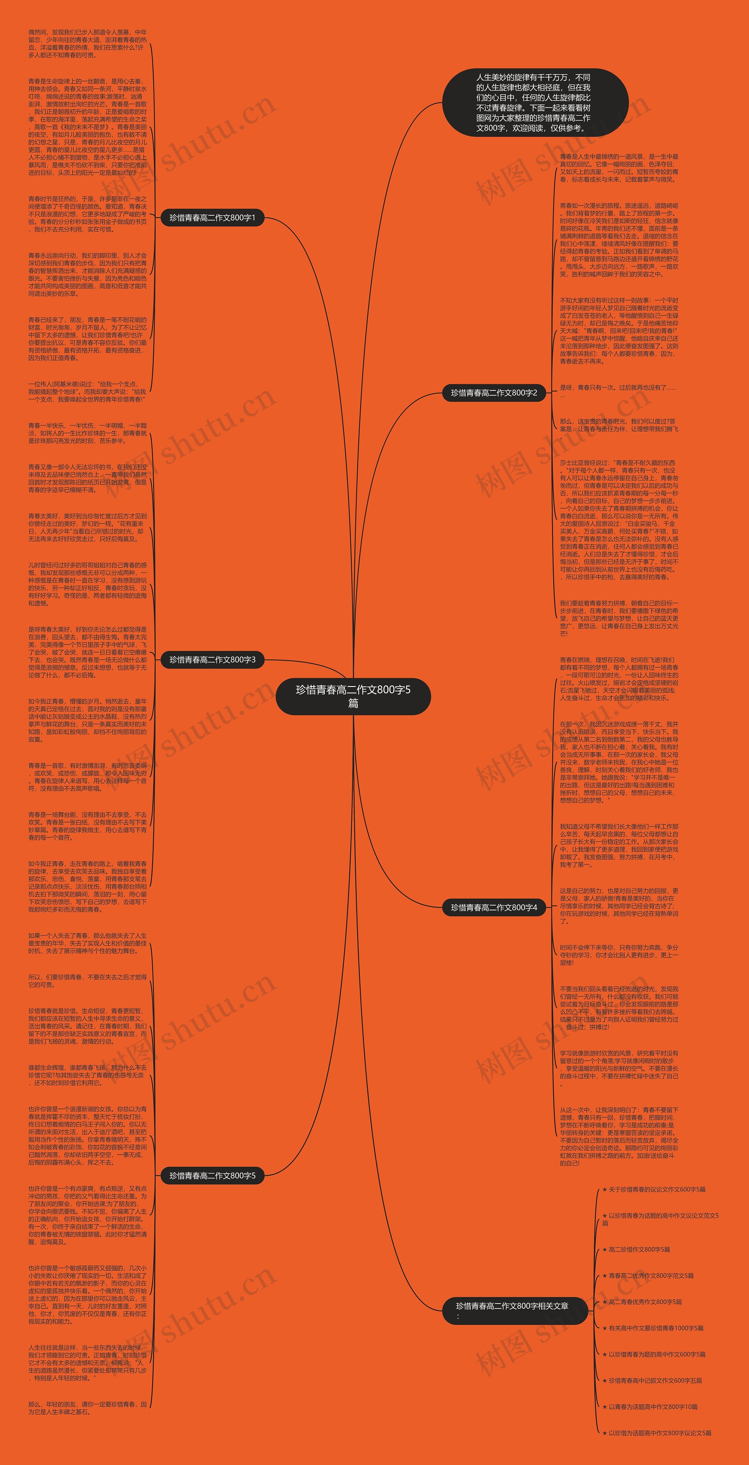 珍惜青春高二作文800字5篇思维导图