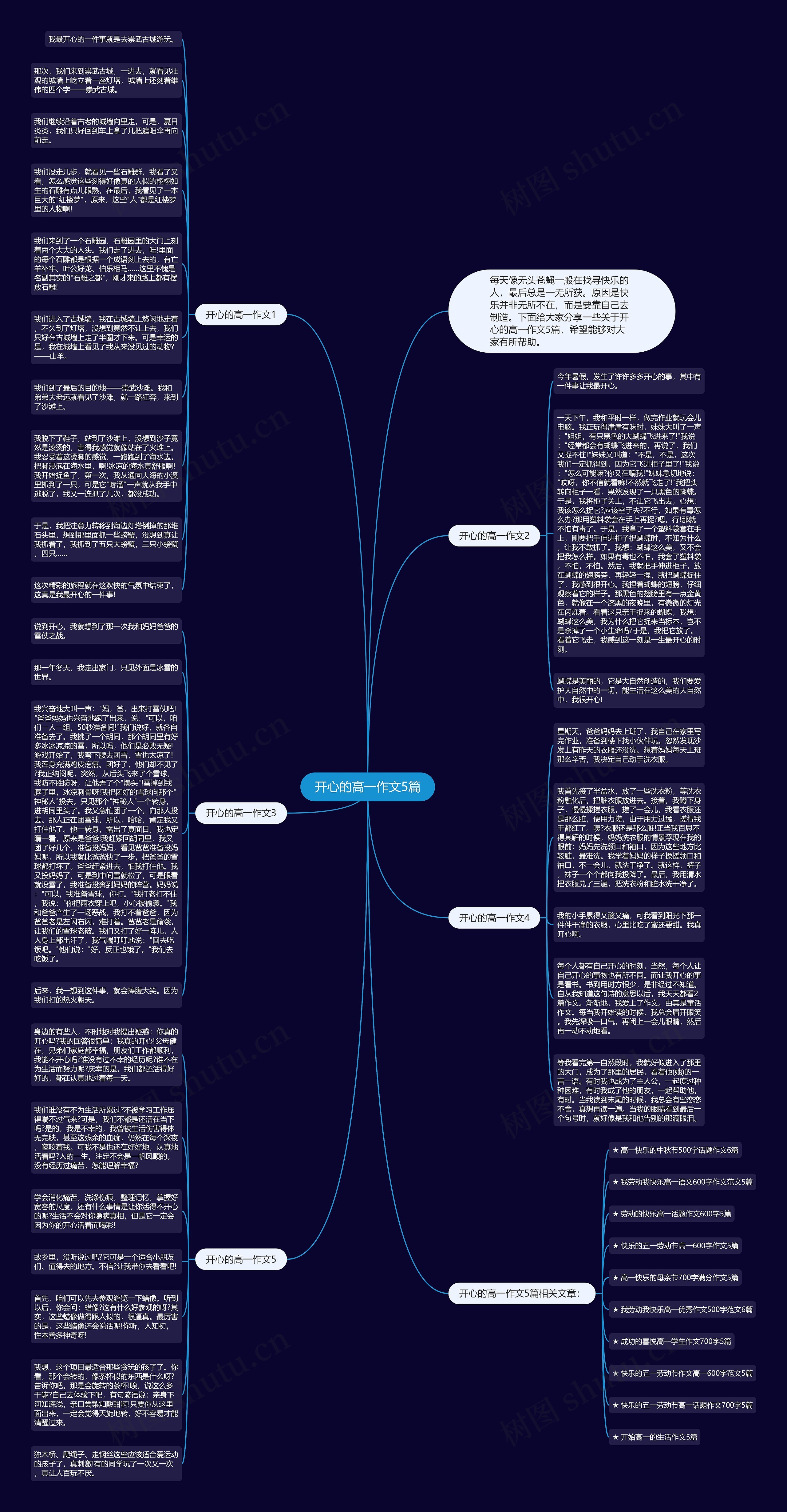 开心的高一作文5篇思维导图