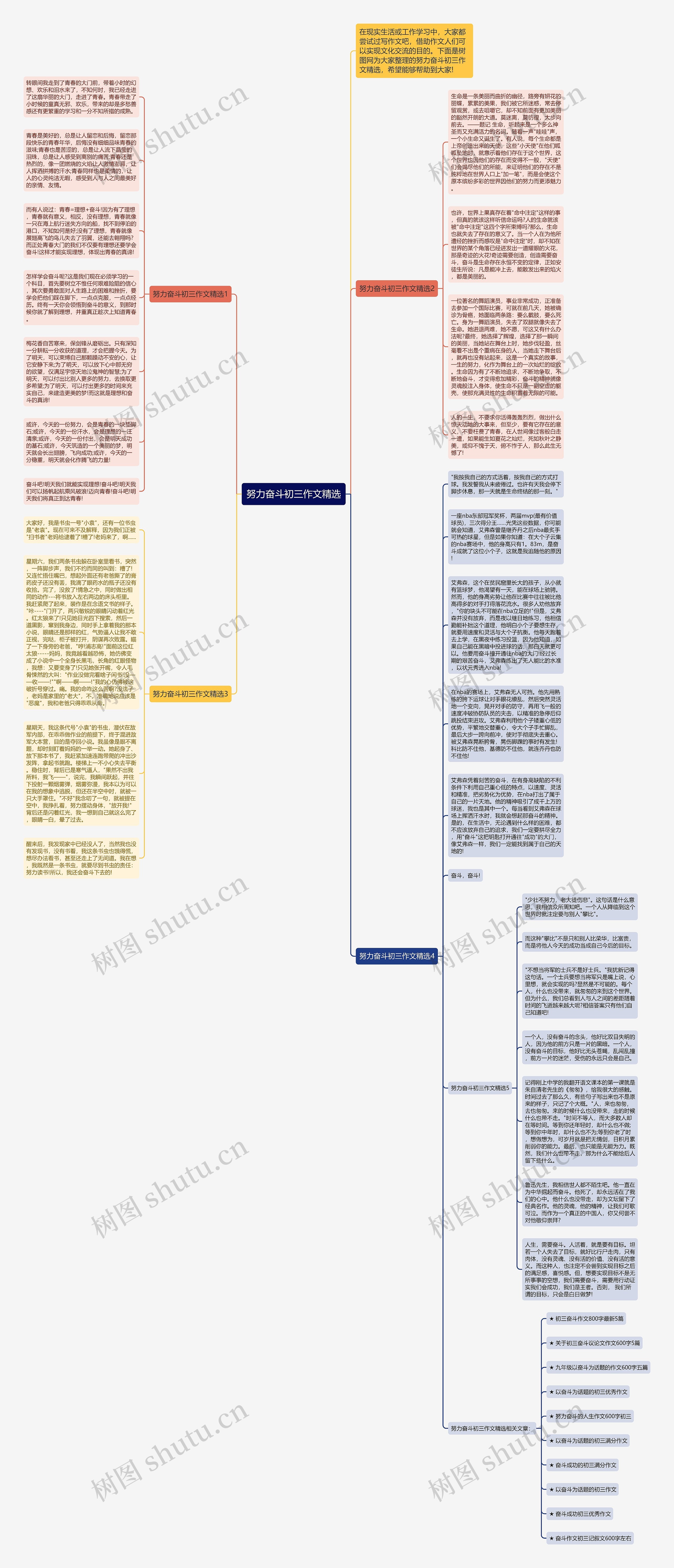 努力奋斗初三作文精选思维导图