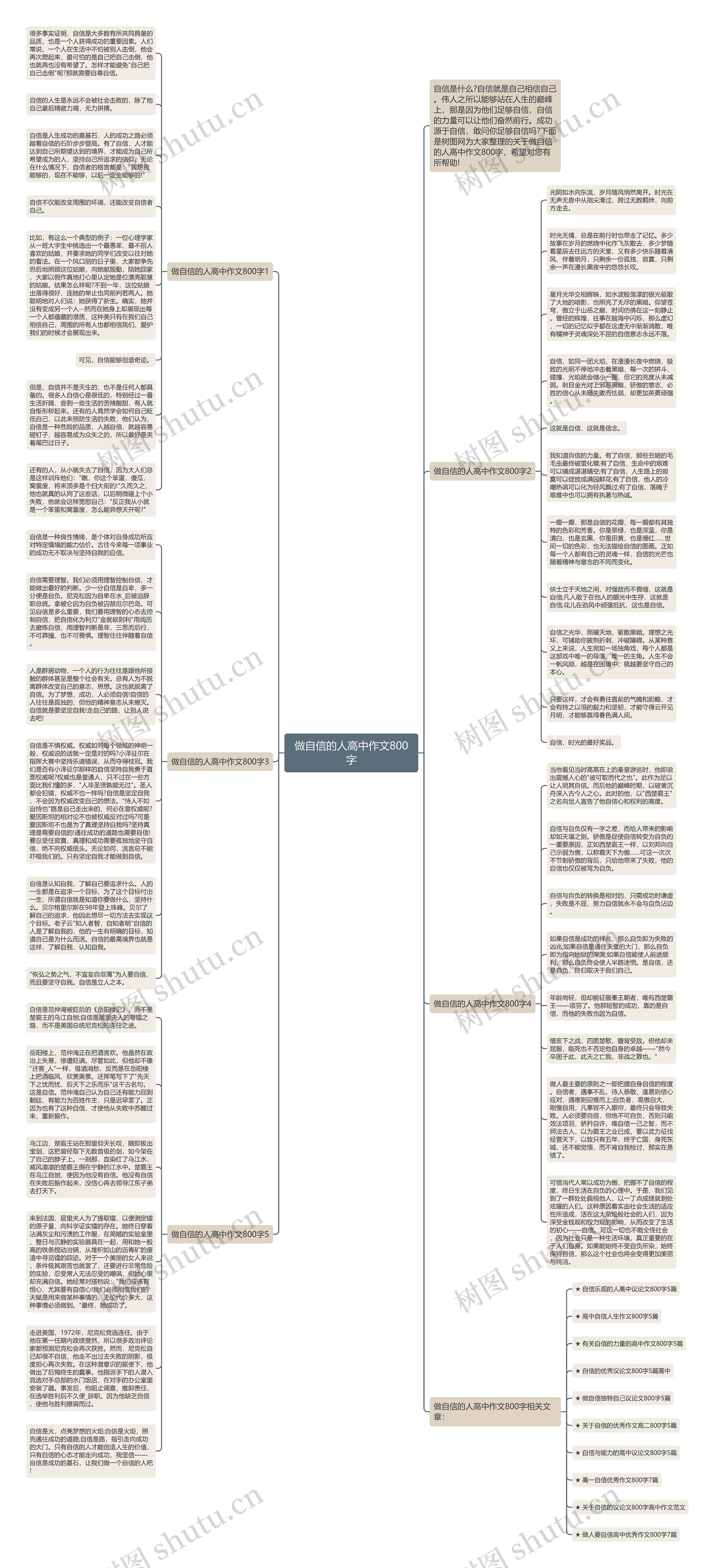 做自信的人高中作文800字思维导图