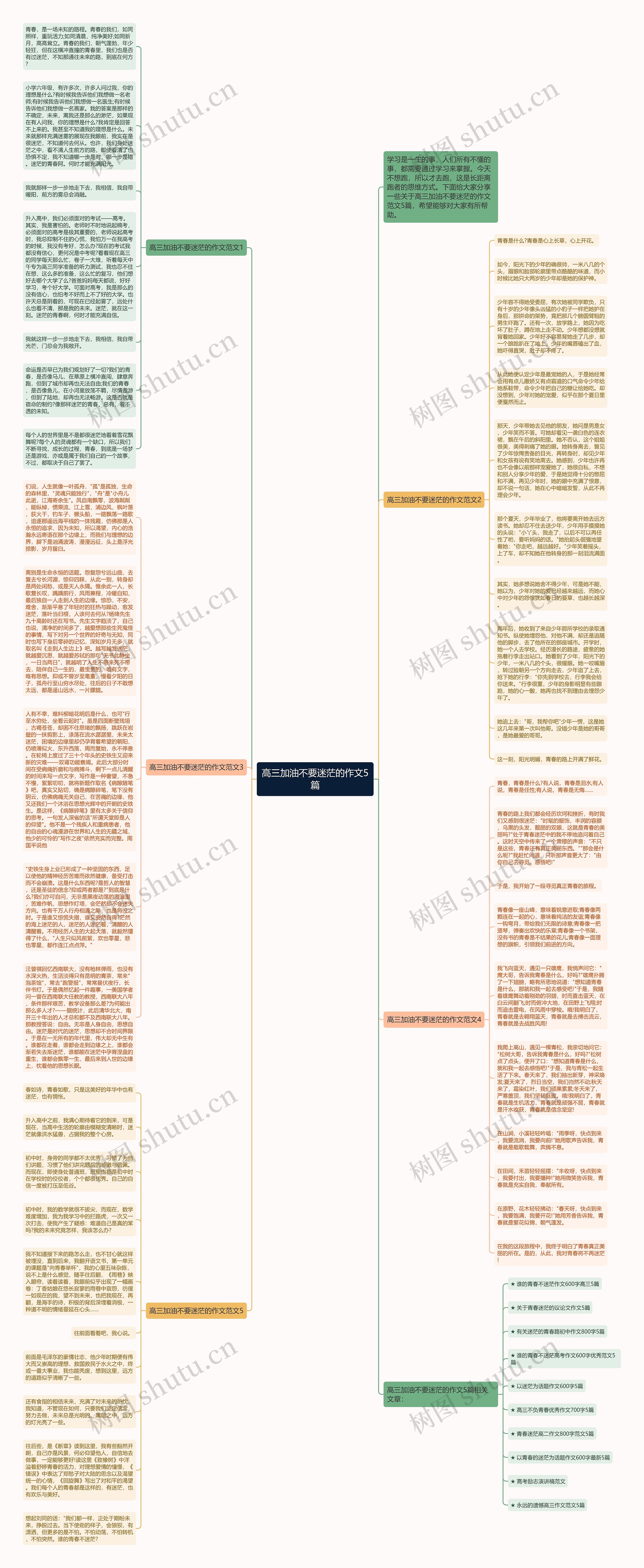 高三加油不要迷茫的作文5篇思维导图