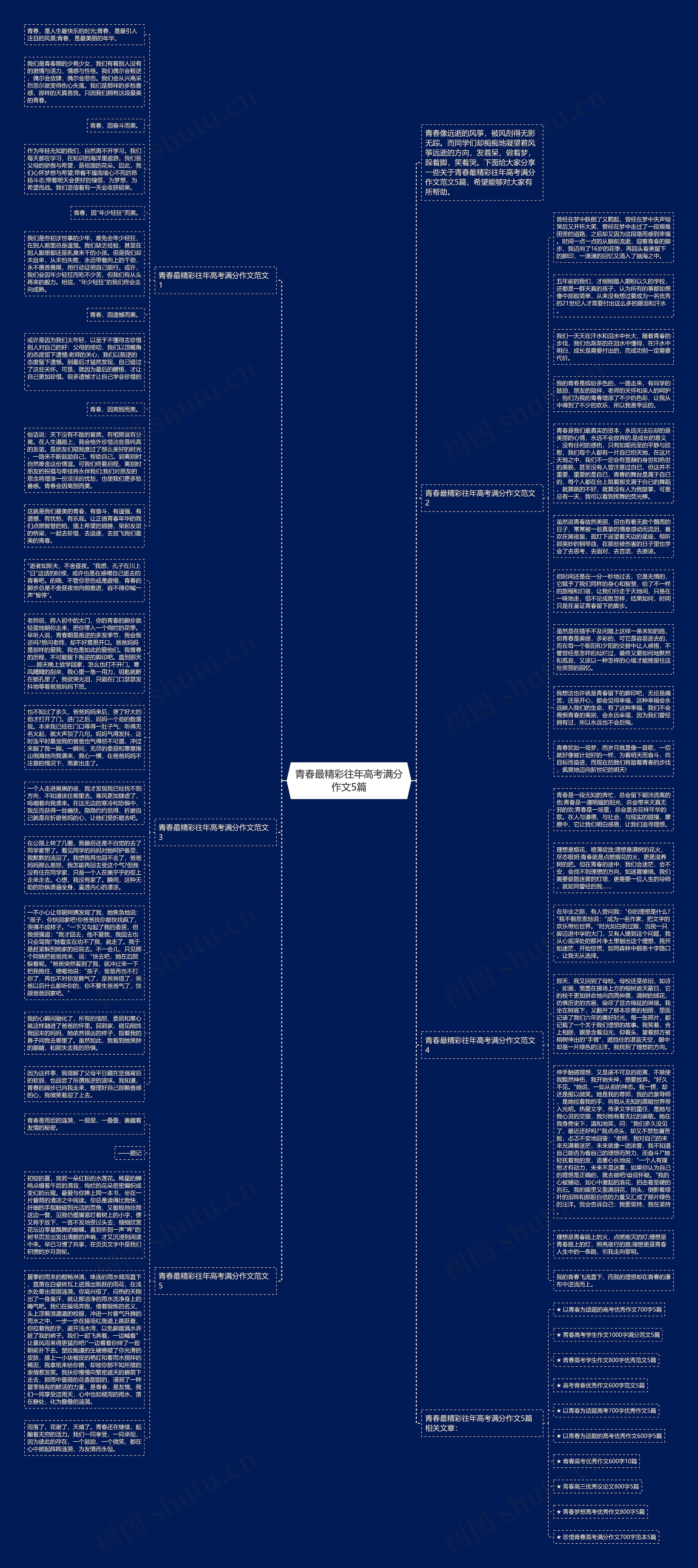 青春最精彩往年高考满分作文5篇思维导图