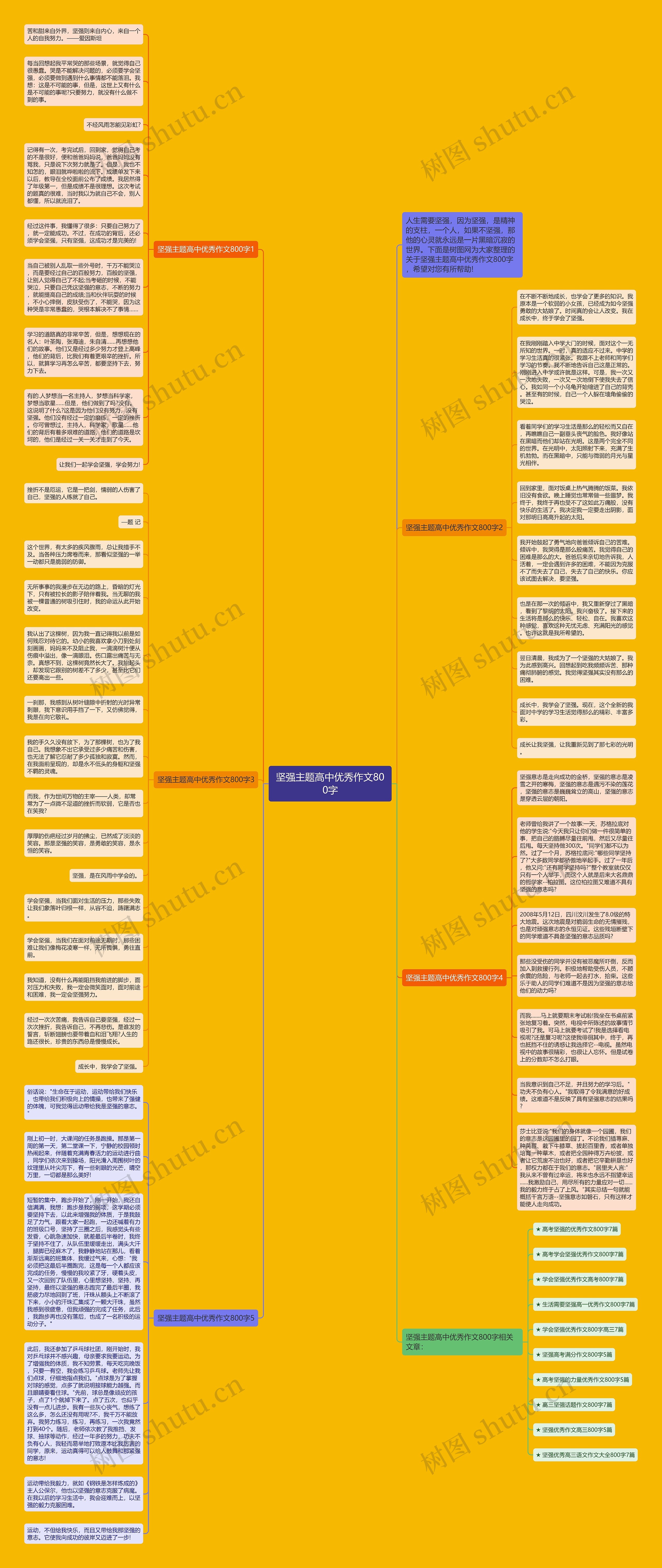 坚强主题高中优秀作文800字思维导图
