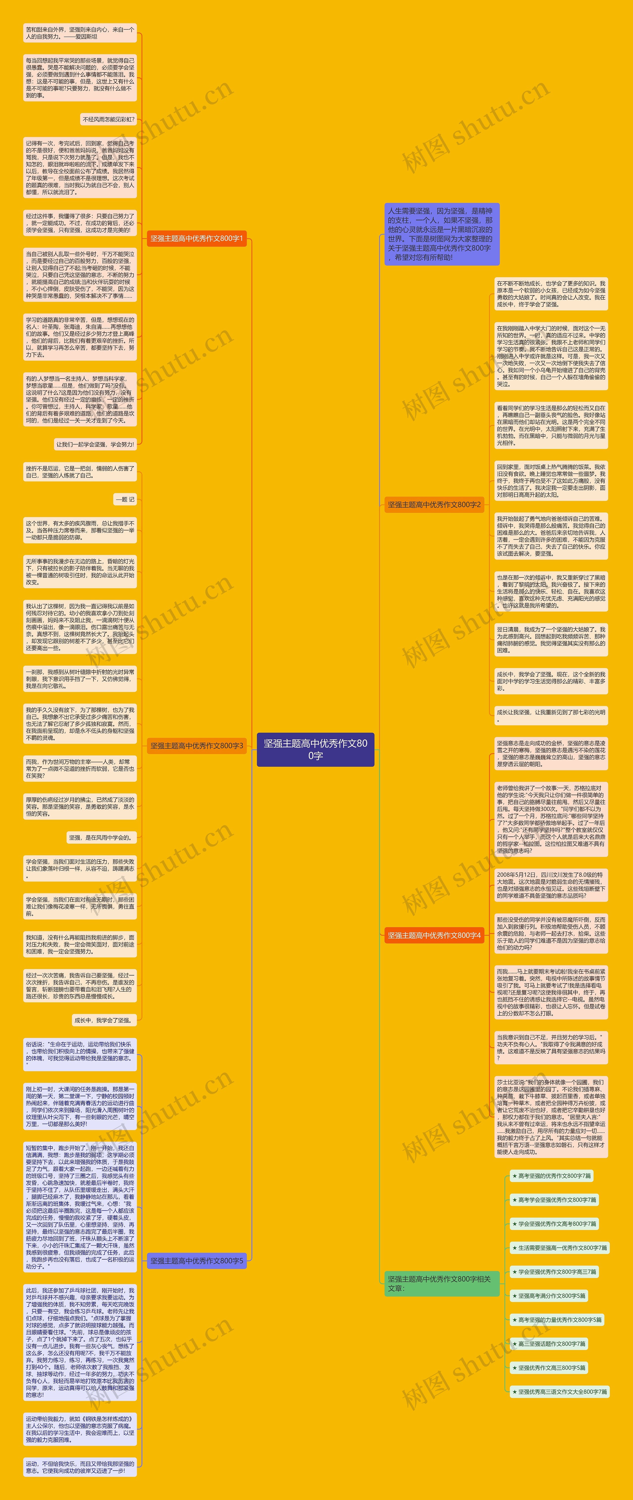 坚强主题高中优秀作文800字思维导图高清图 坚强主题高中优秀作文800字思维导图
