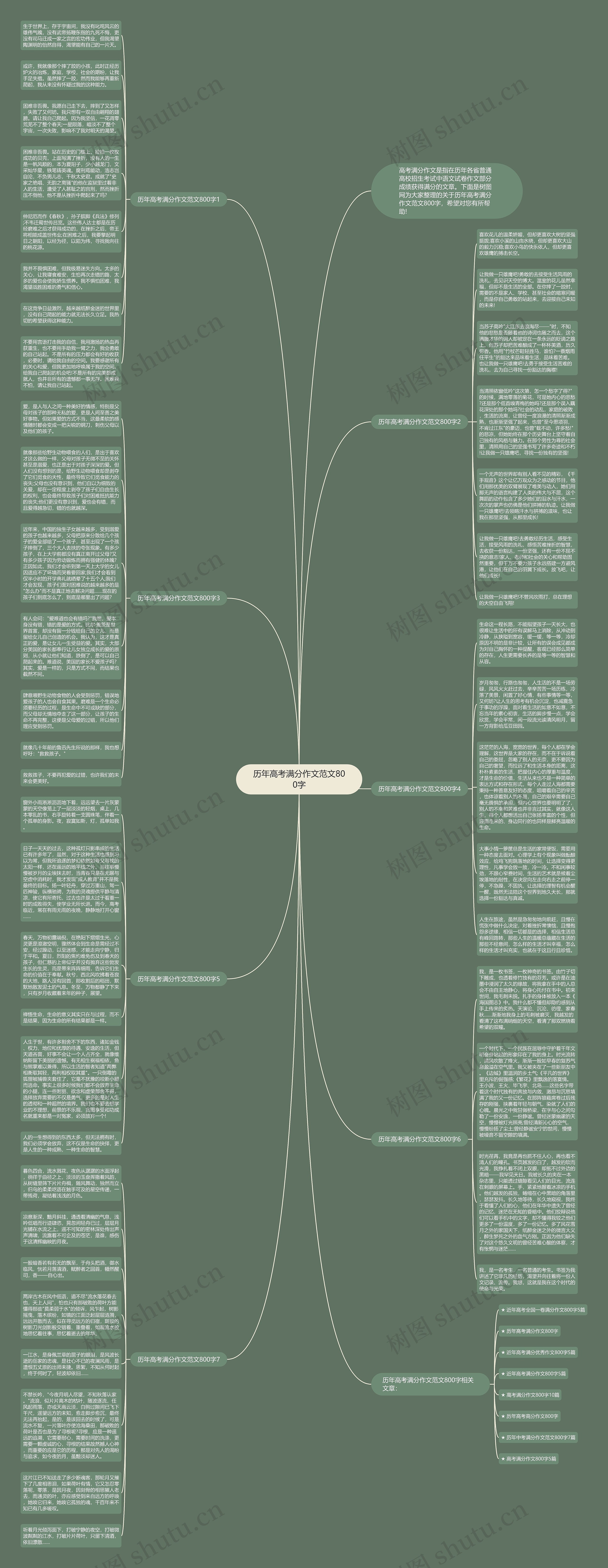 历年高考满分作文范文800字思维导图
