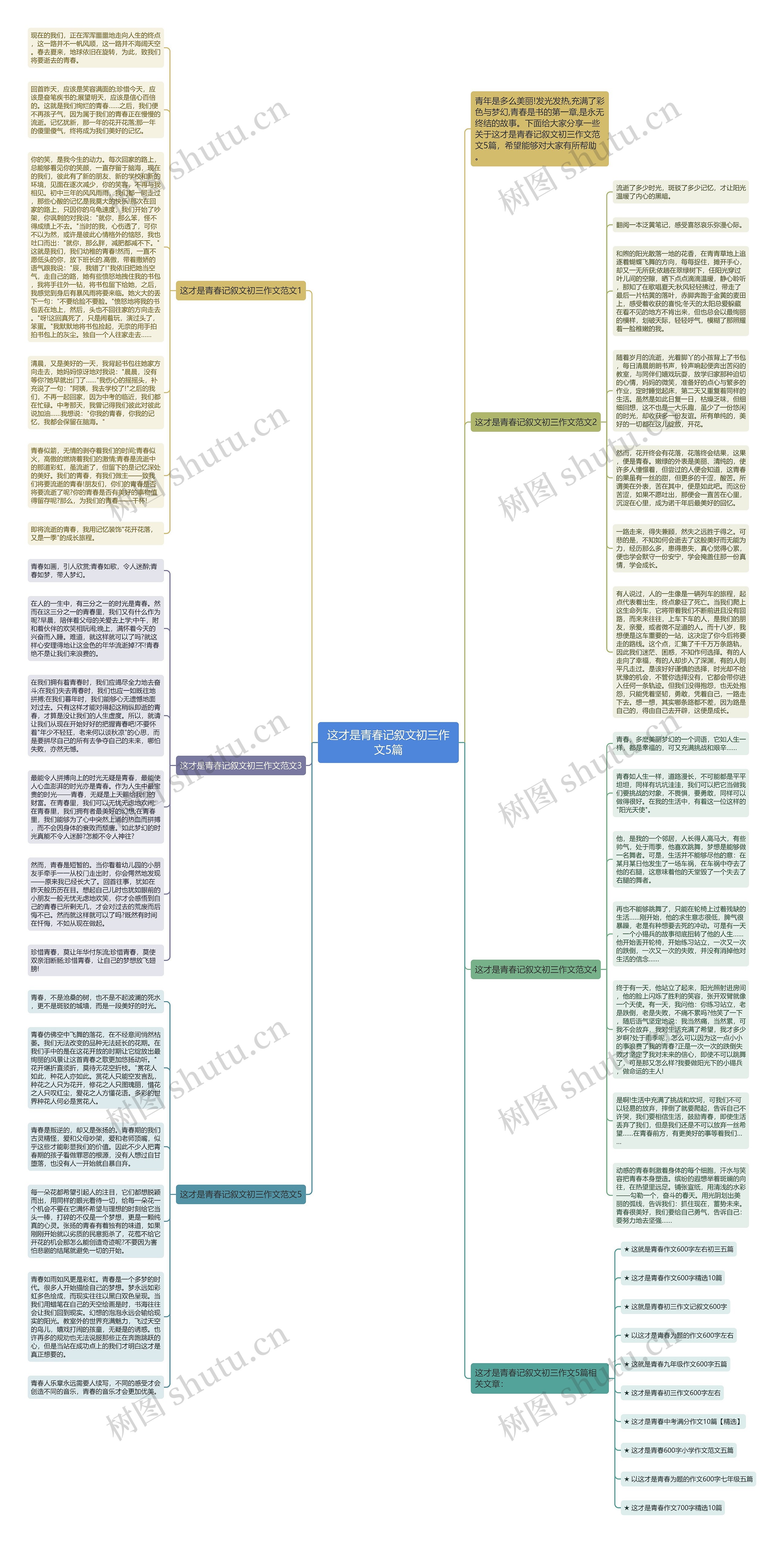 这才是青春记叙文初三作文5篇思维导图