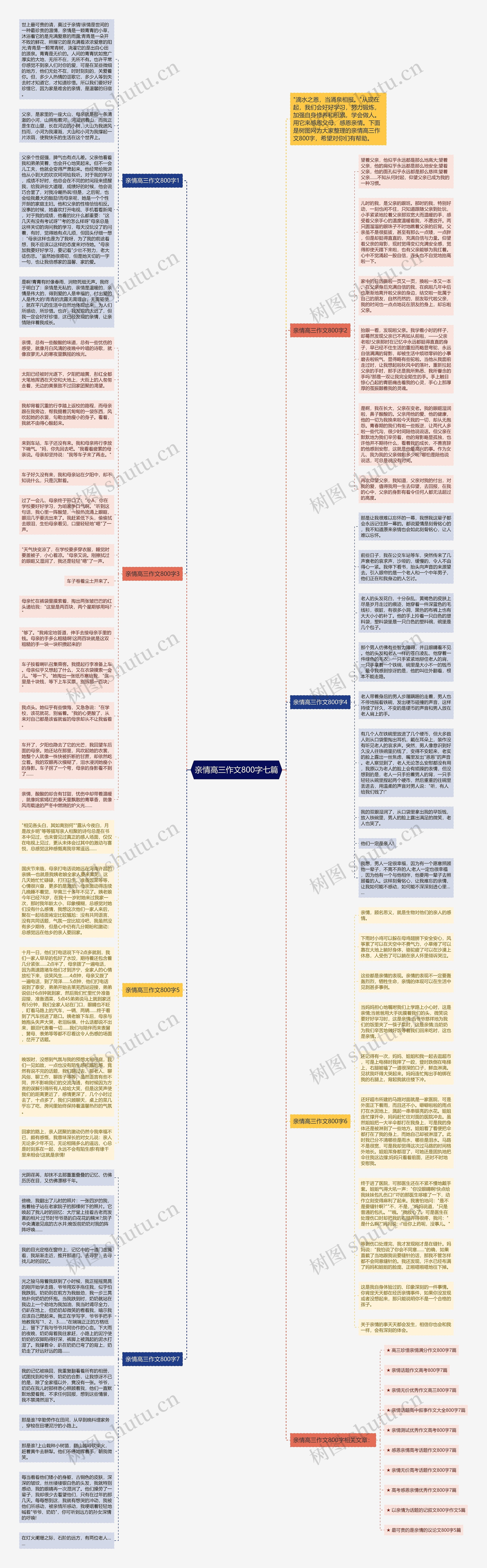 亲情高三作文800字七篇思维导图