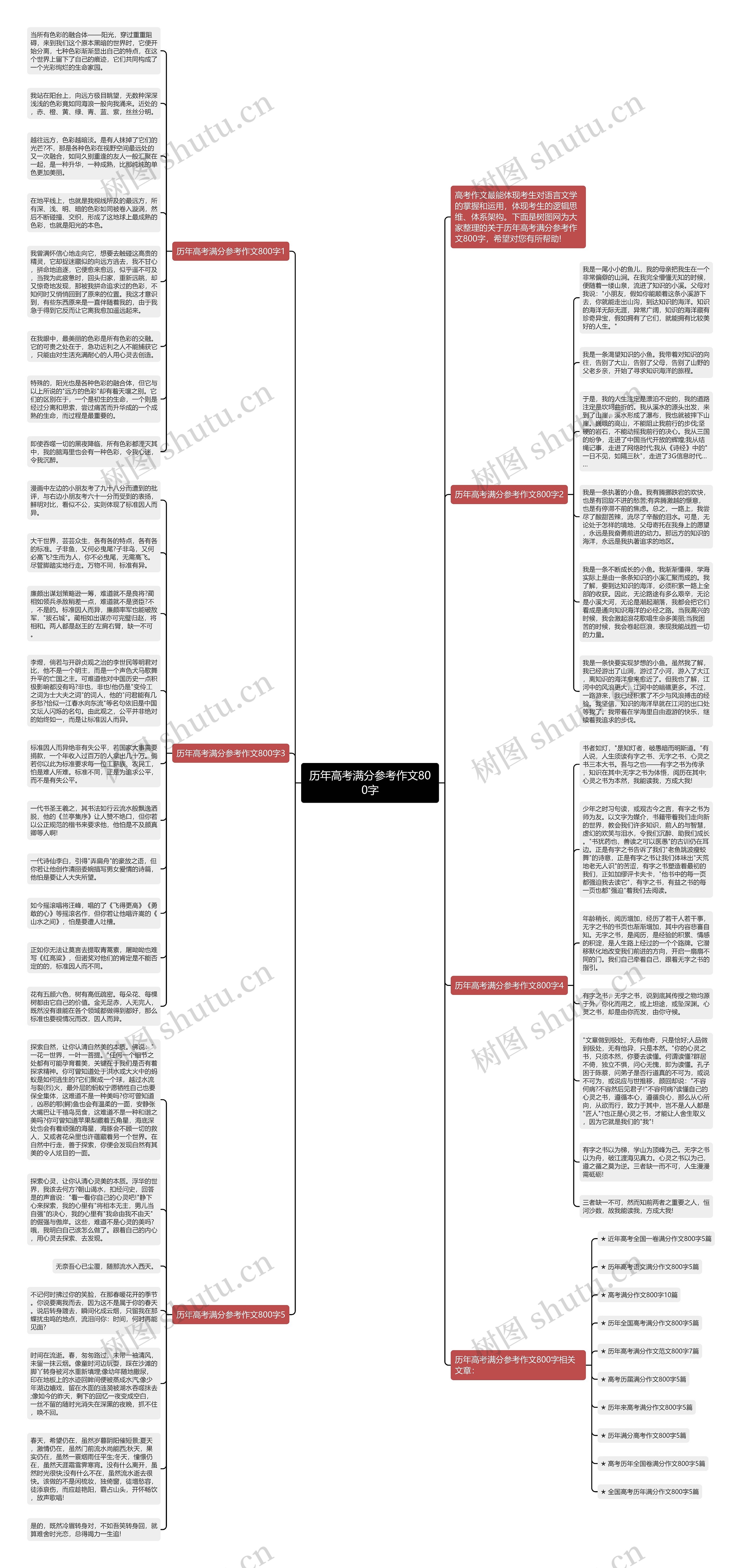 历年高考满分参考作文800字思维导图