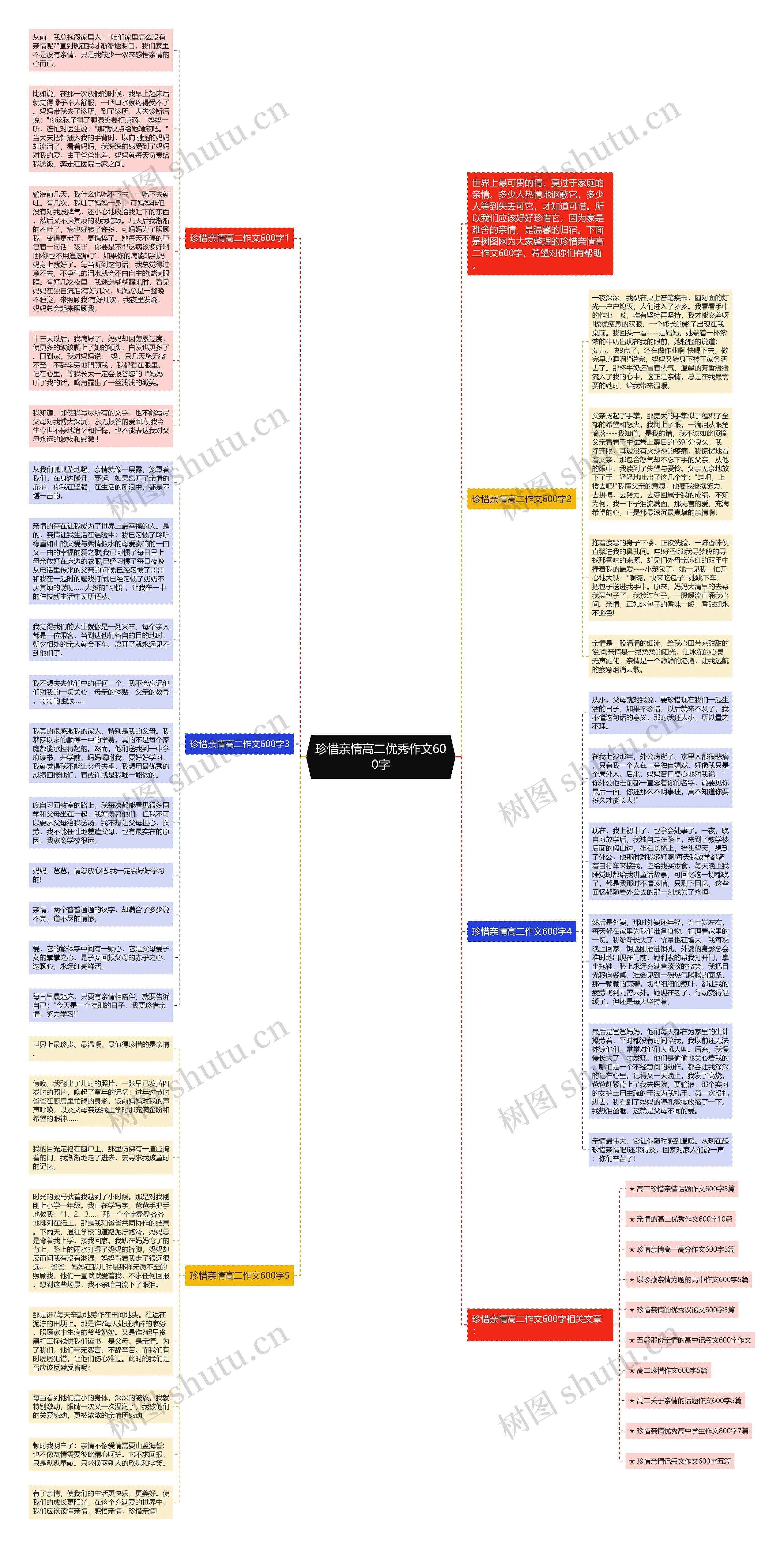 珍惜亲情高二优秀作文600字思维导图