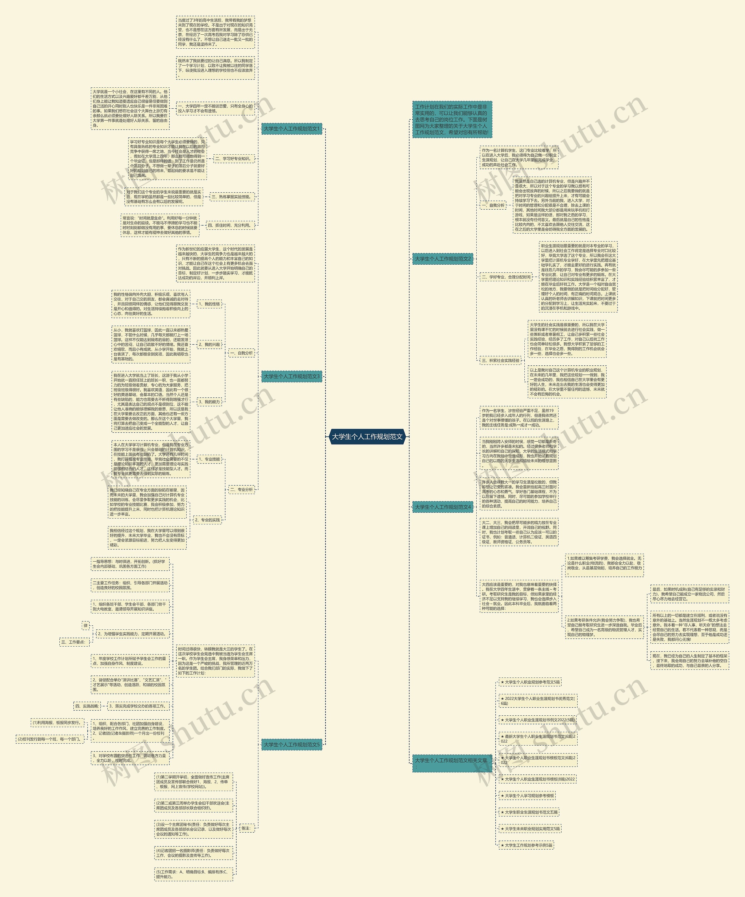 大学生个人工作规划范文思维导图