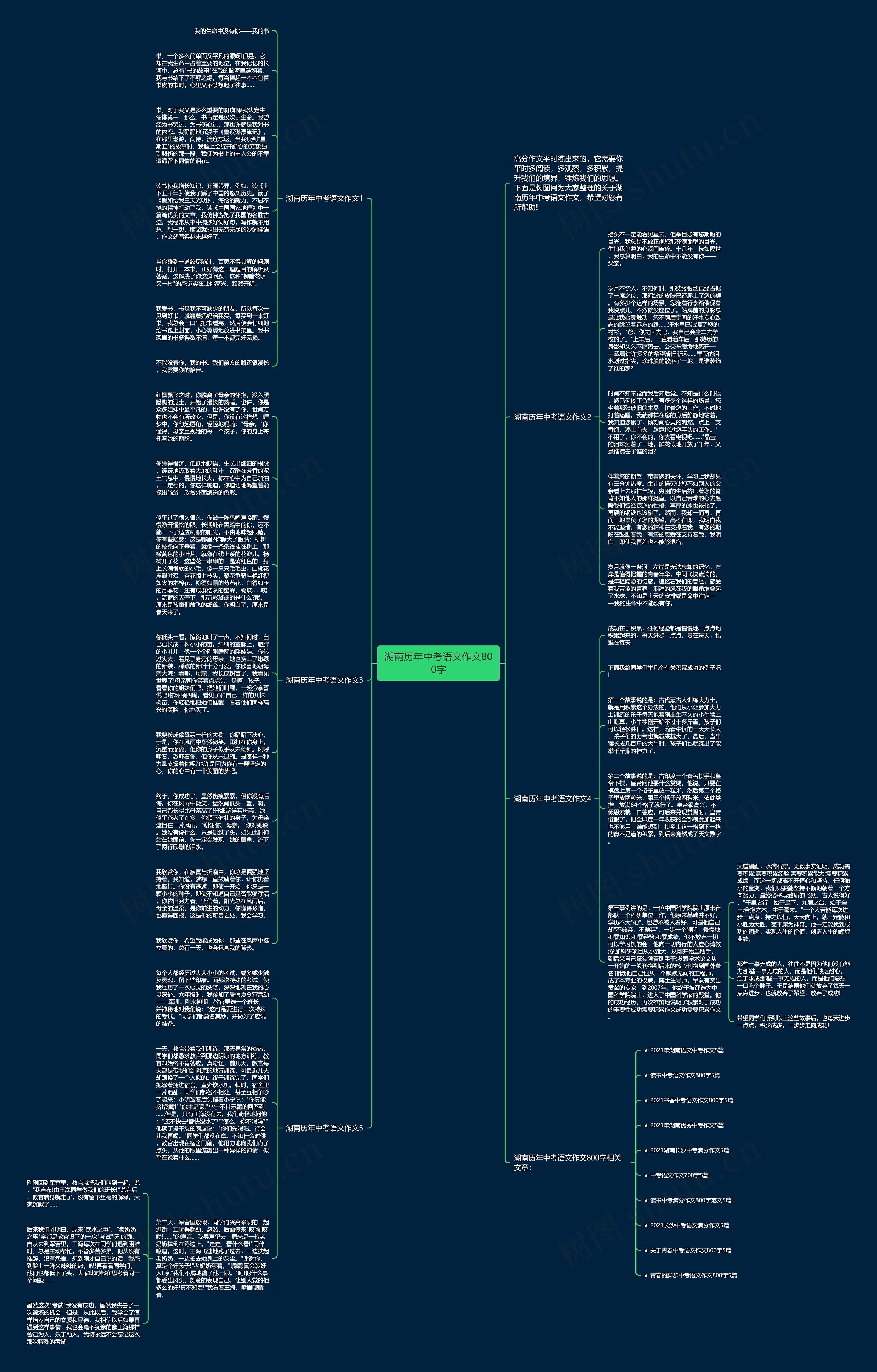 湖南历年中考语文作文800字思维导图
