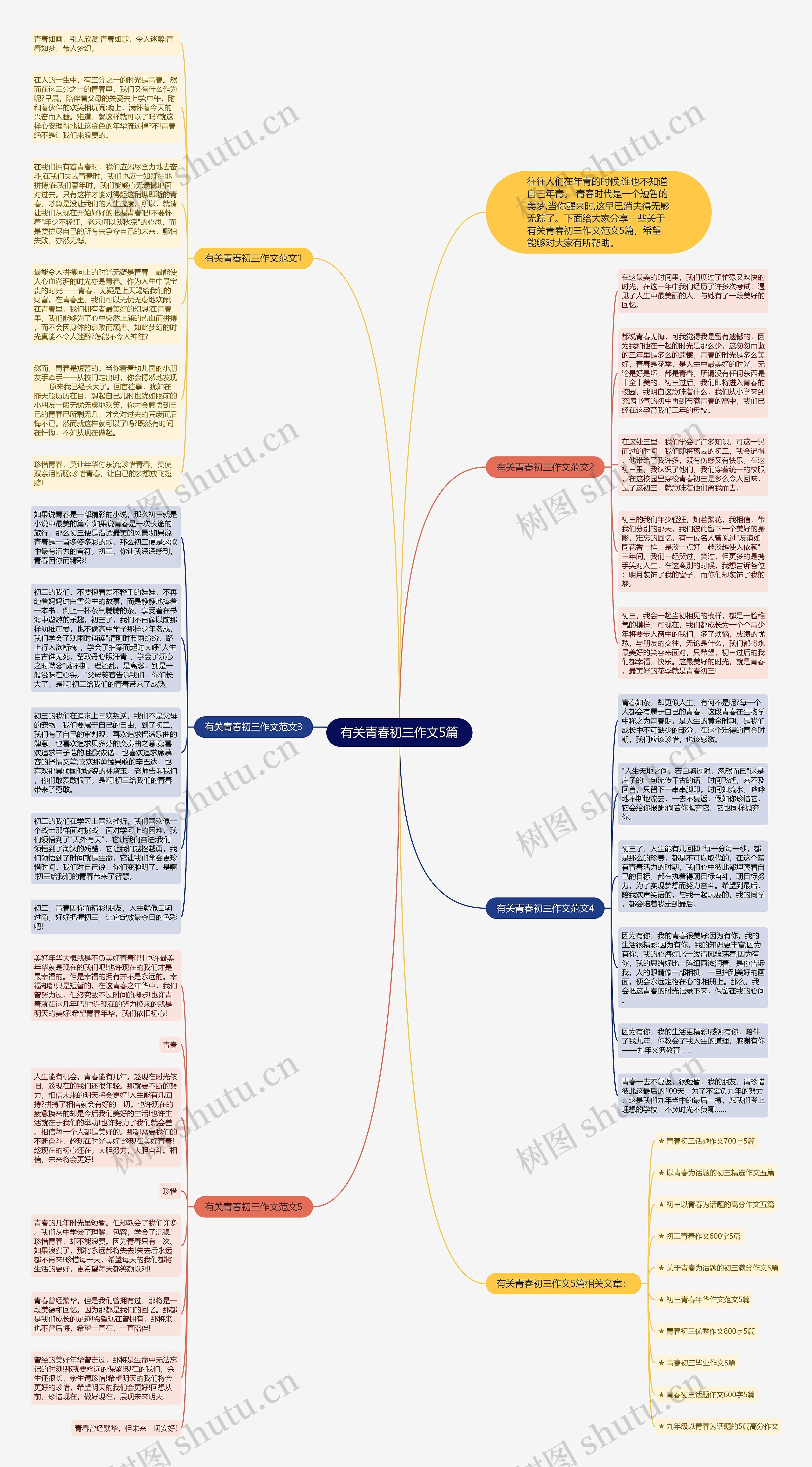 有关青春初三作文5篇思维导图