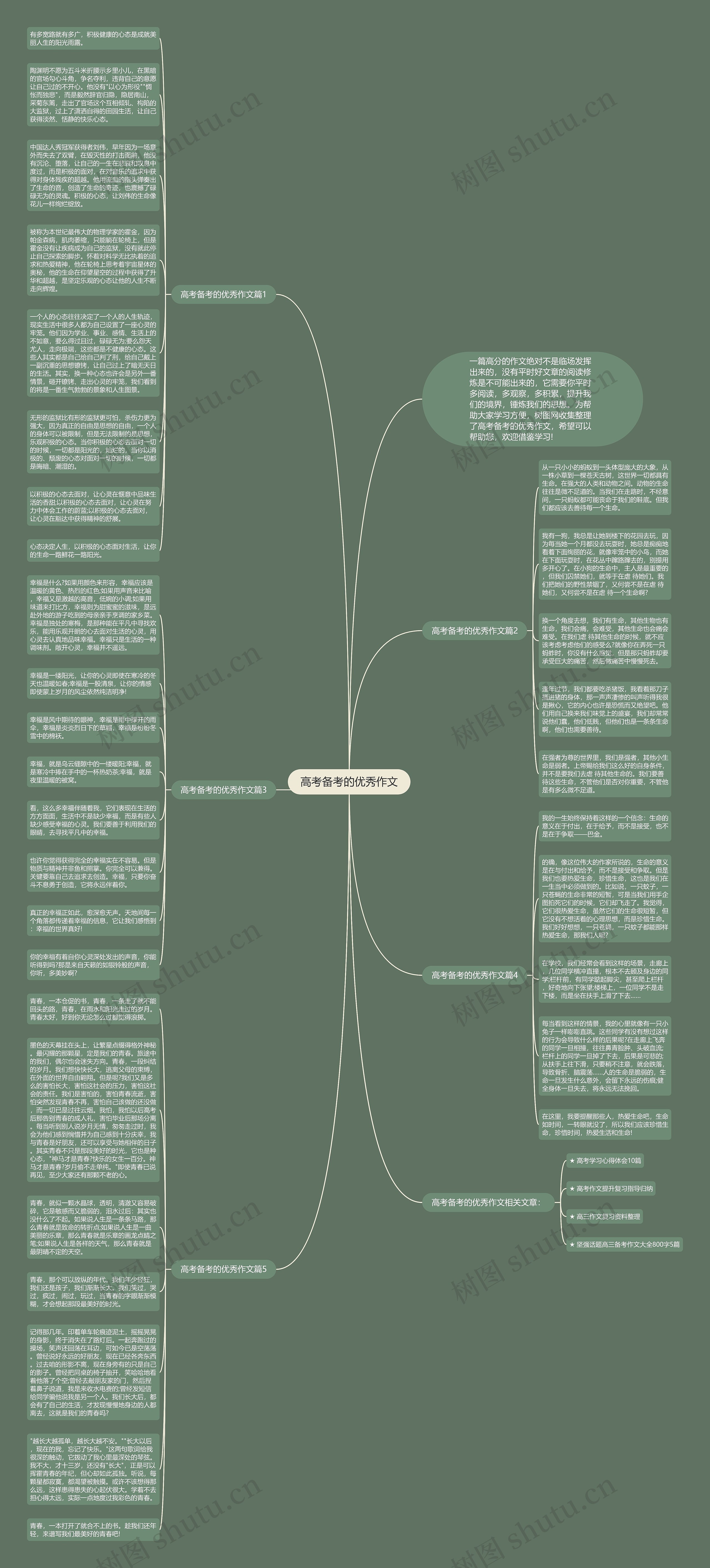 高考备考的优秀作文思维导图