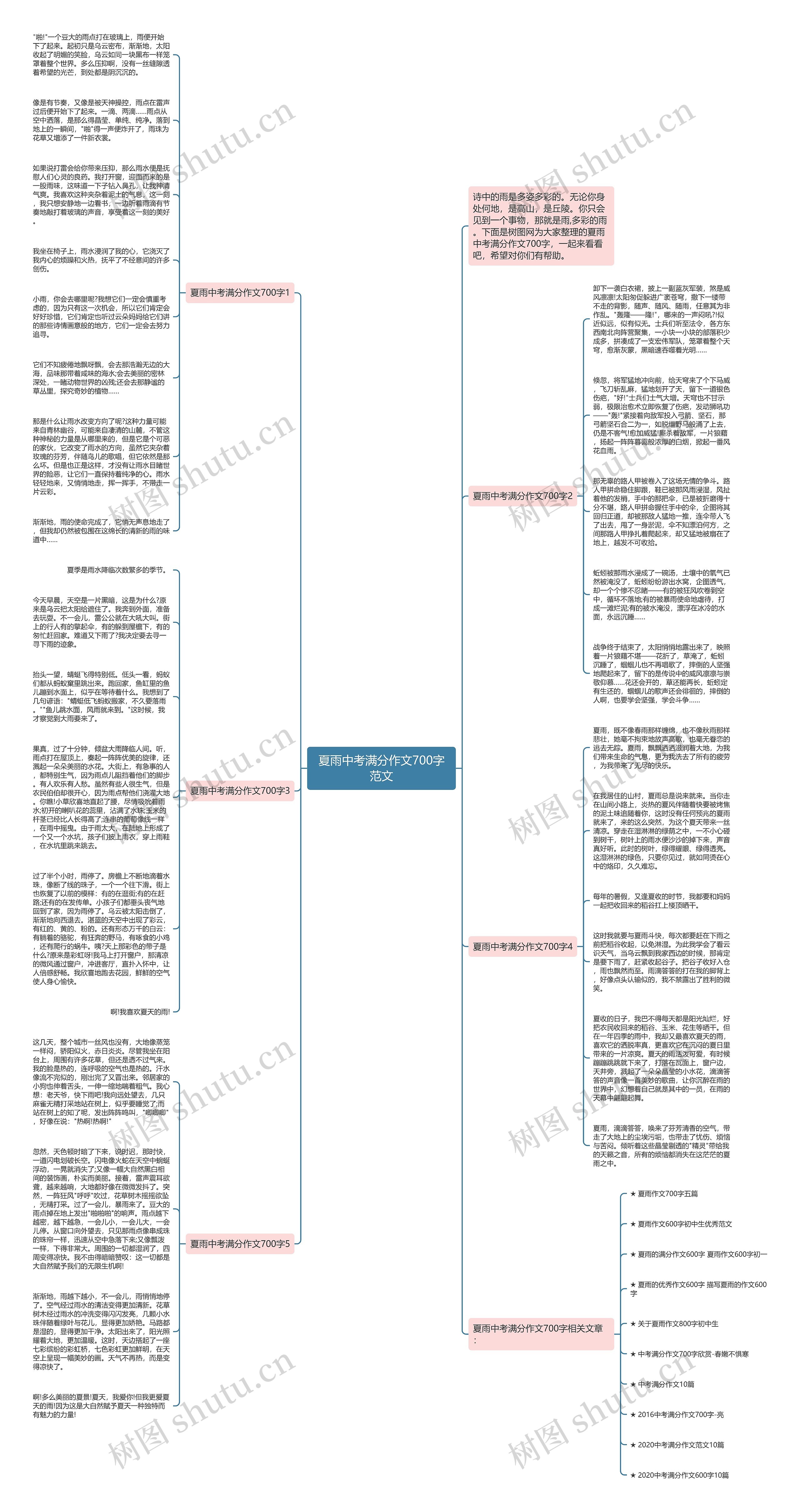 夏雨中考满分作文700字范文思维导图