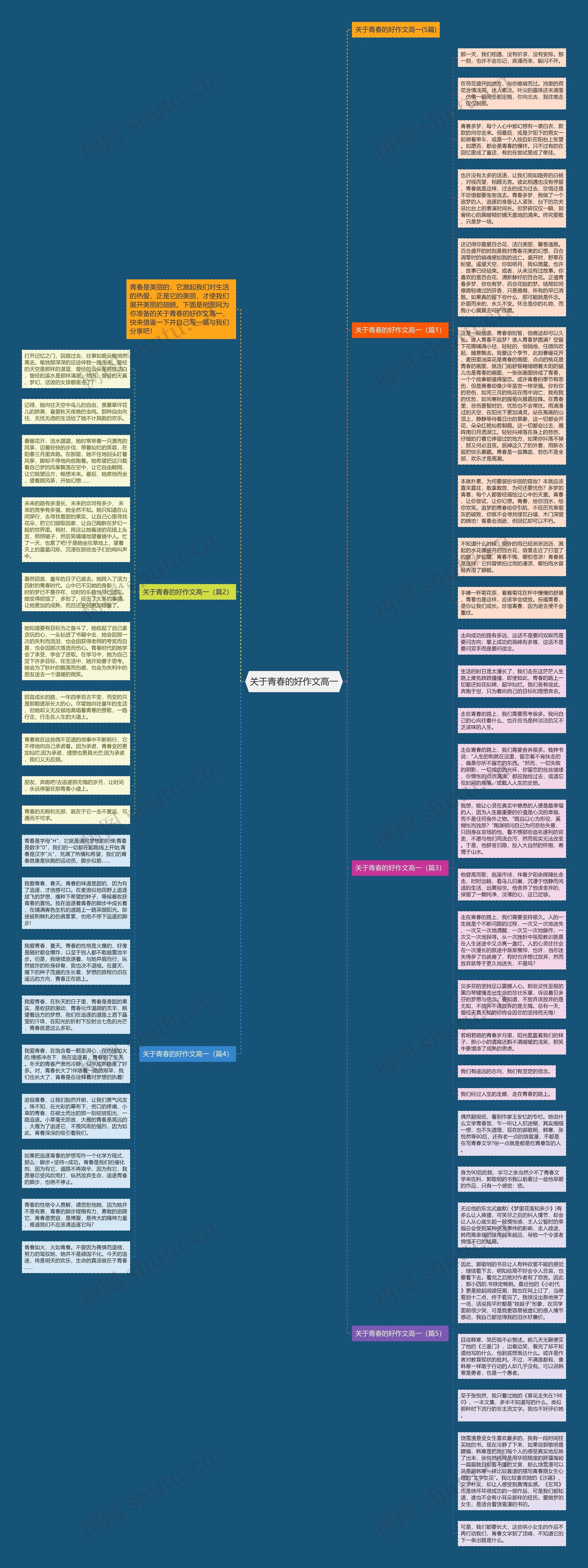 关于青春的好作文高一思维导图高清图 关于青春的好作文高一思维导图