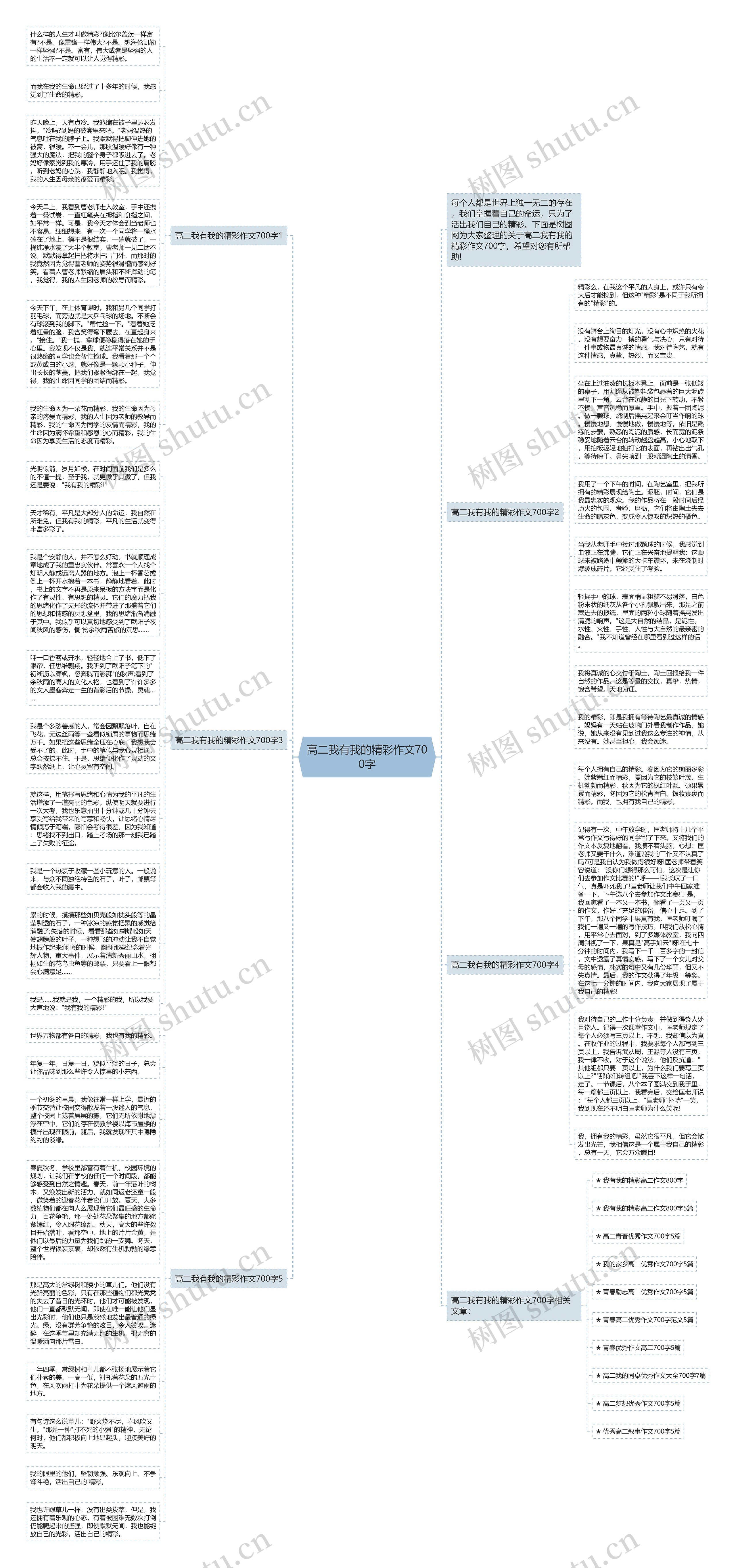 高二我有我的精彩作文700字思维导图