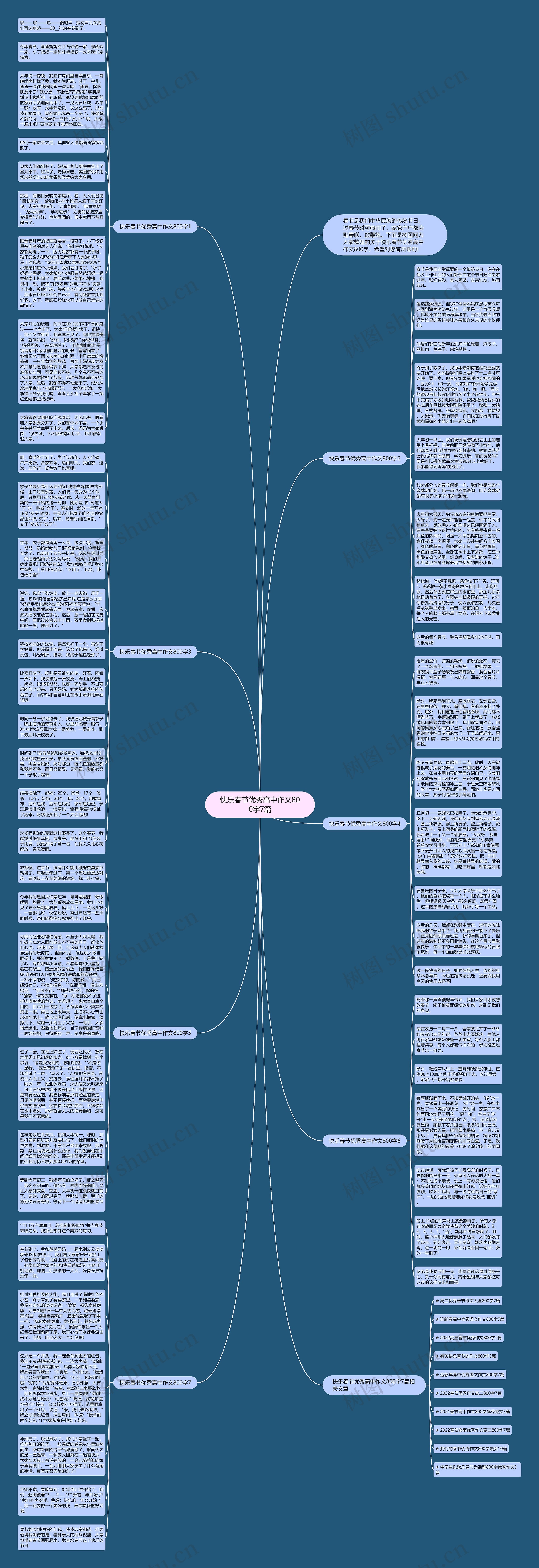 快乐春节优秀高中作文800字7篇思维导图