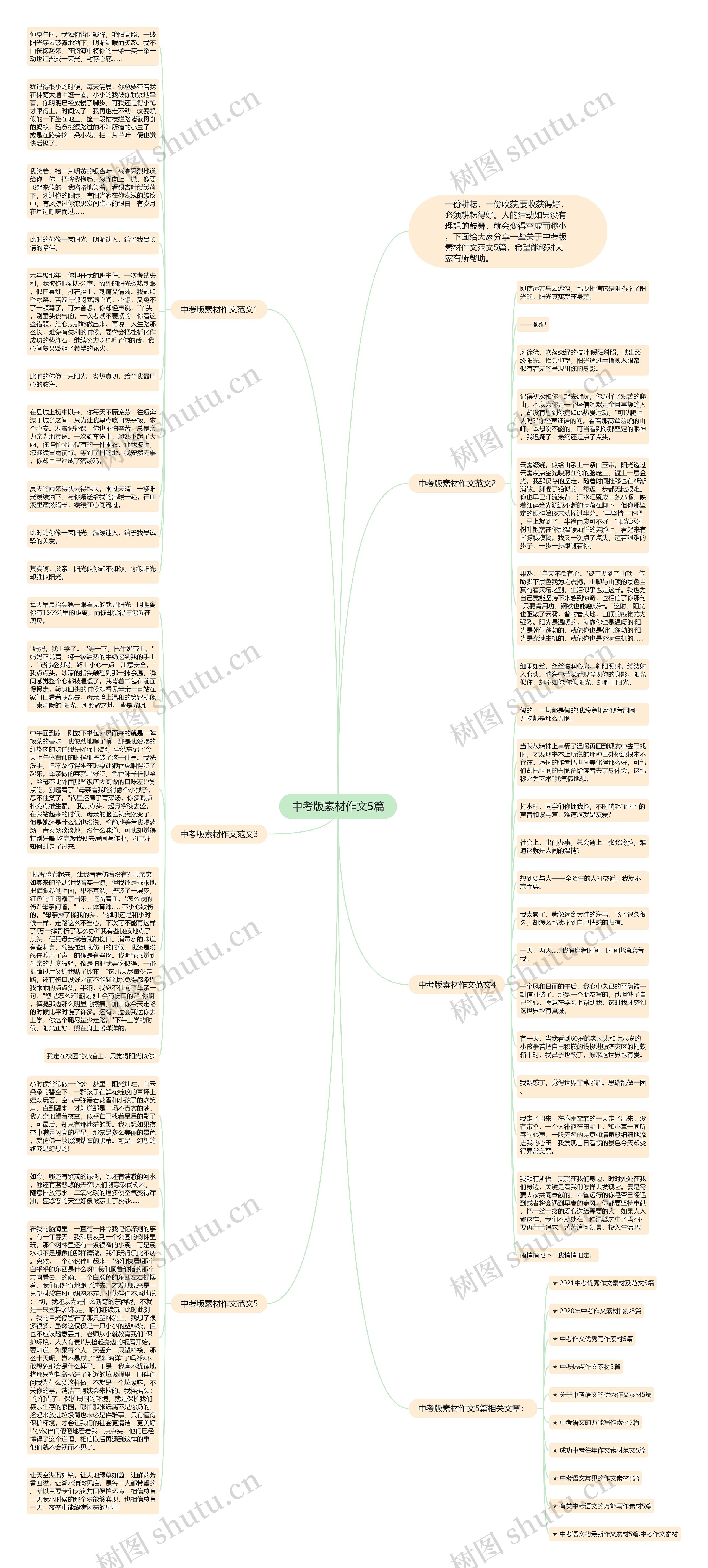 中考版素材作文5篇思维导图