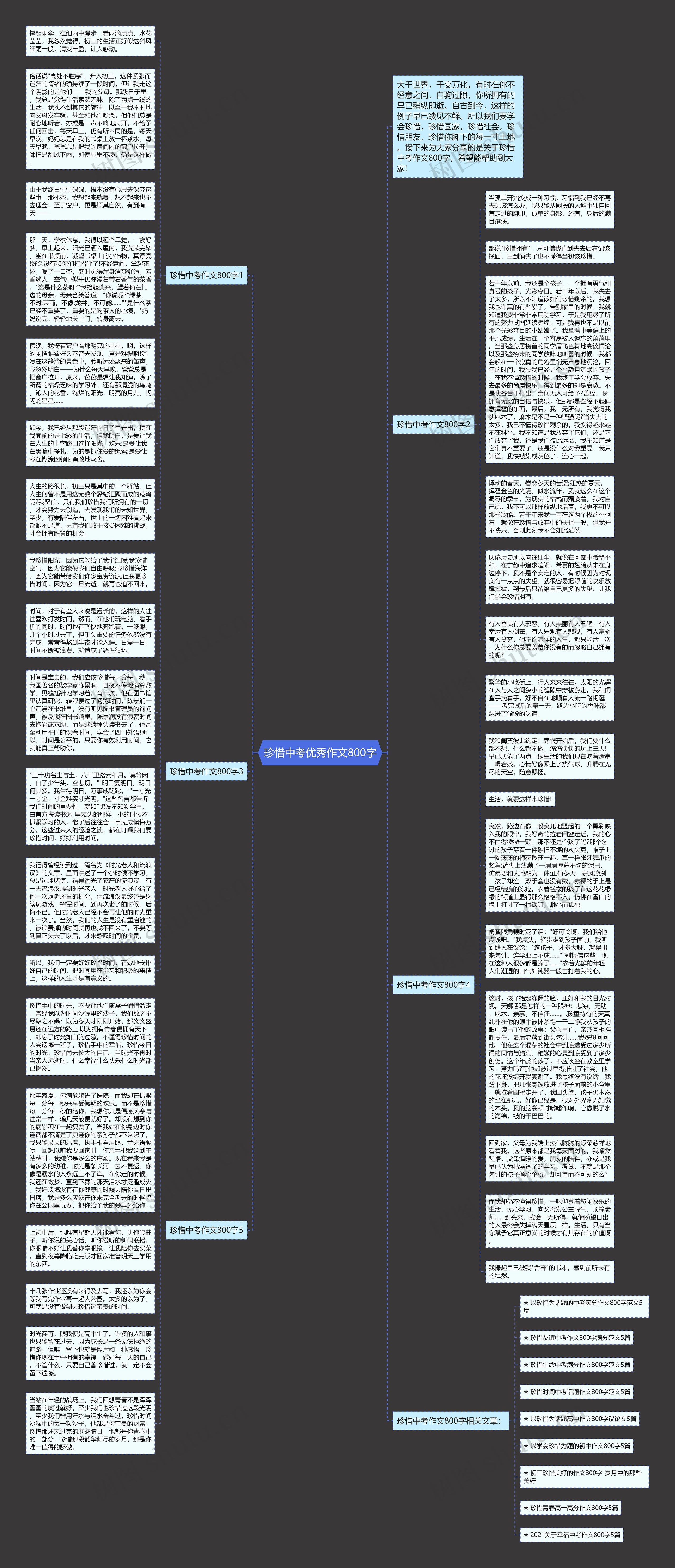 珍惜中考优秀作文800字思维导图
