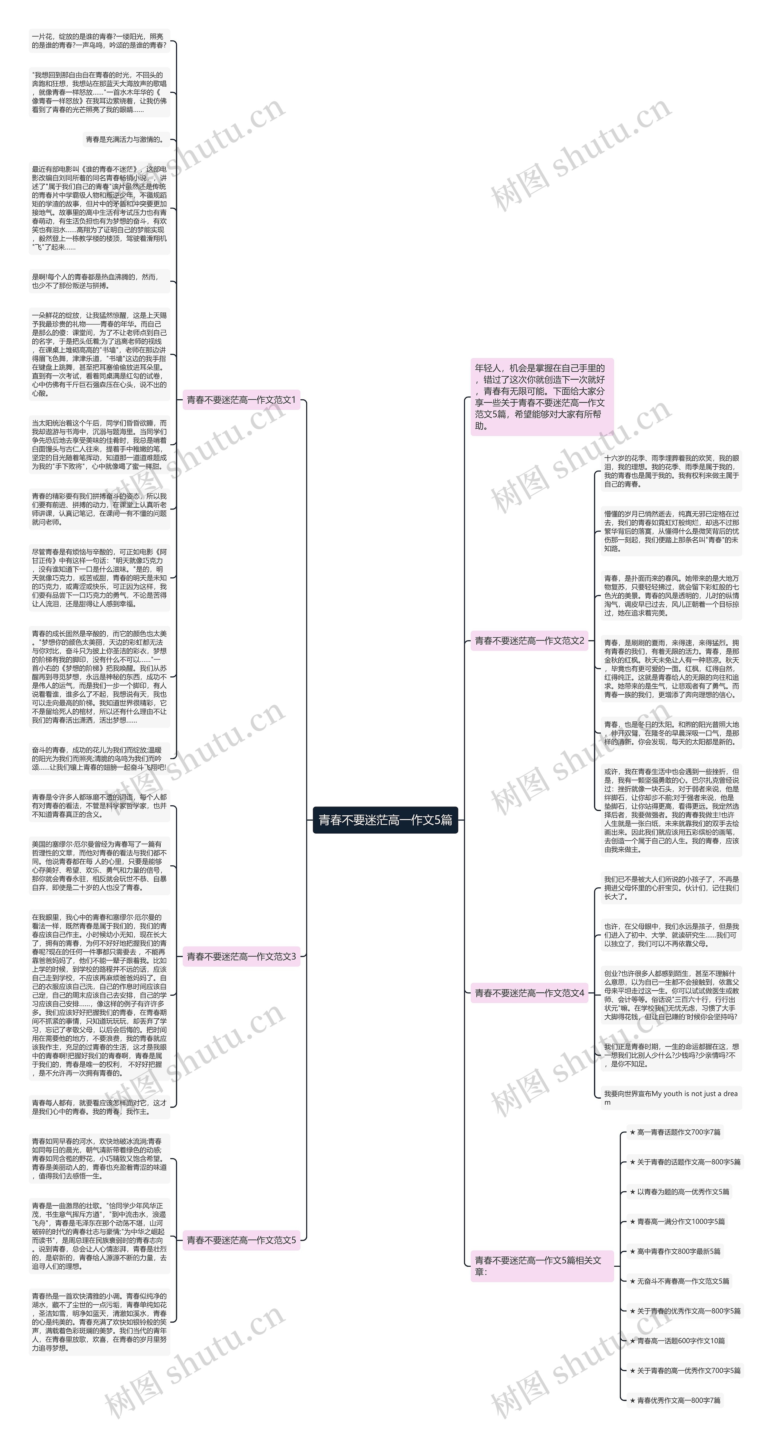 青春不要迷茫高一作文5篇思维导图