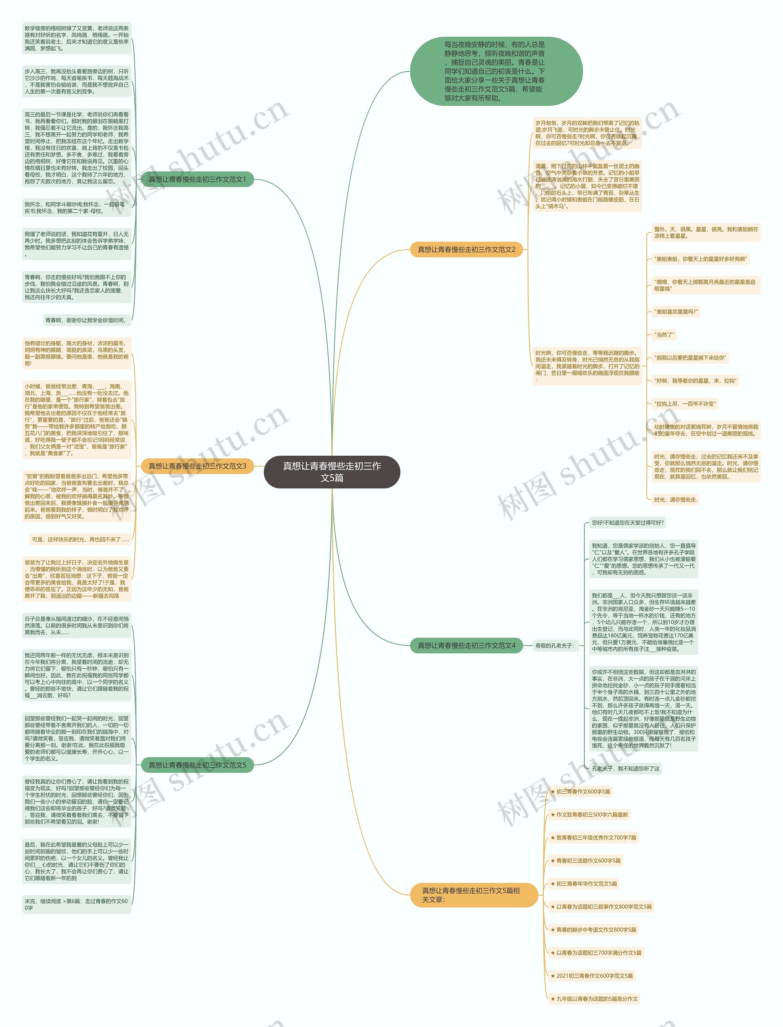 真想让青春慢些走初三作文5篇思维导图