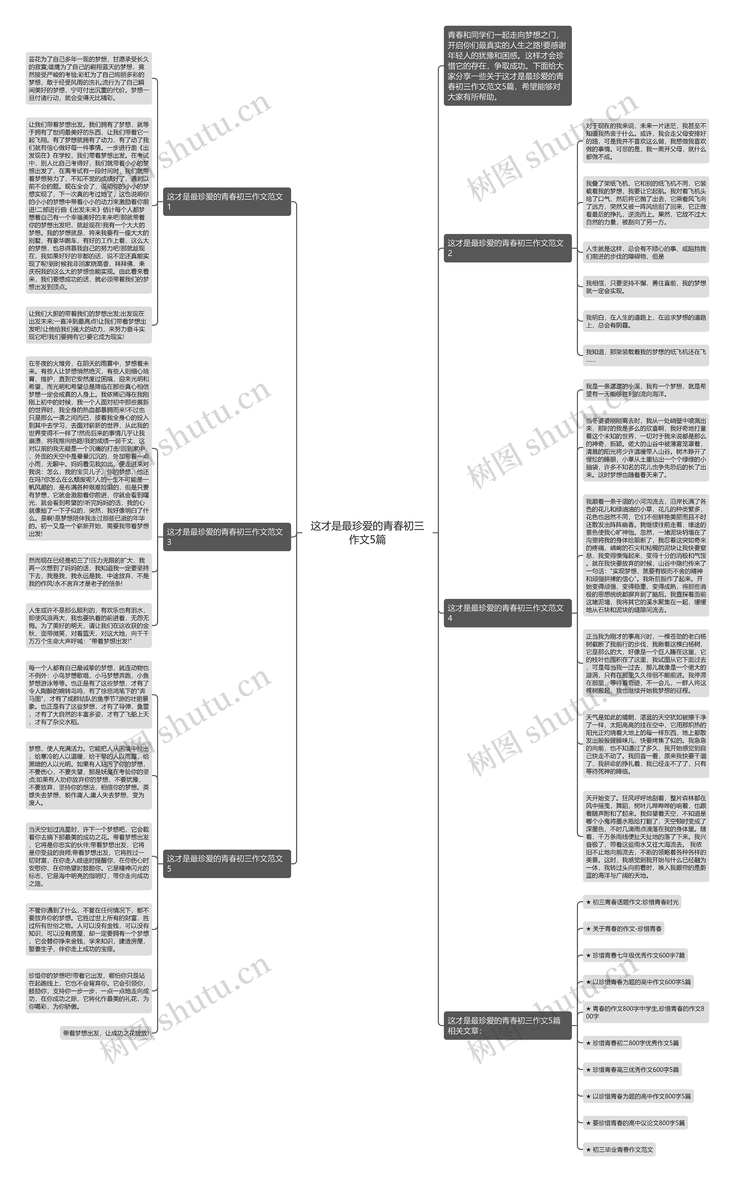 这才是最珍爱的青春初三作文5篇思维导图