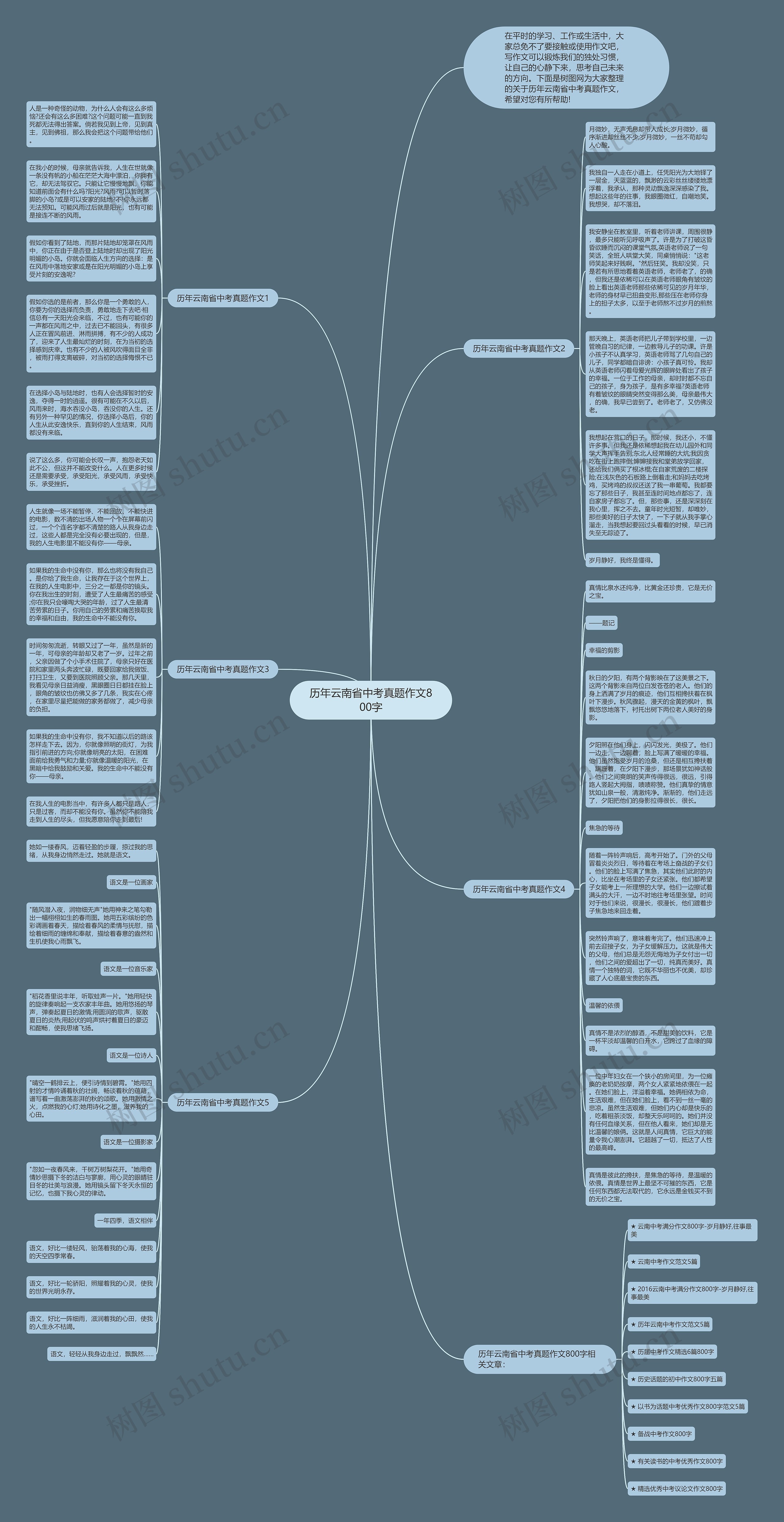 历年云南省中考真题作文800字思维导图