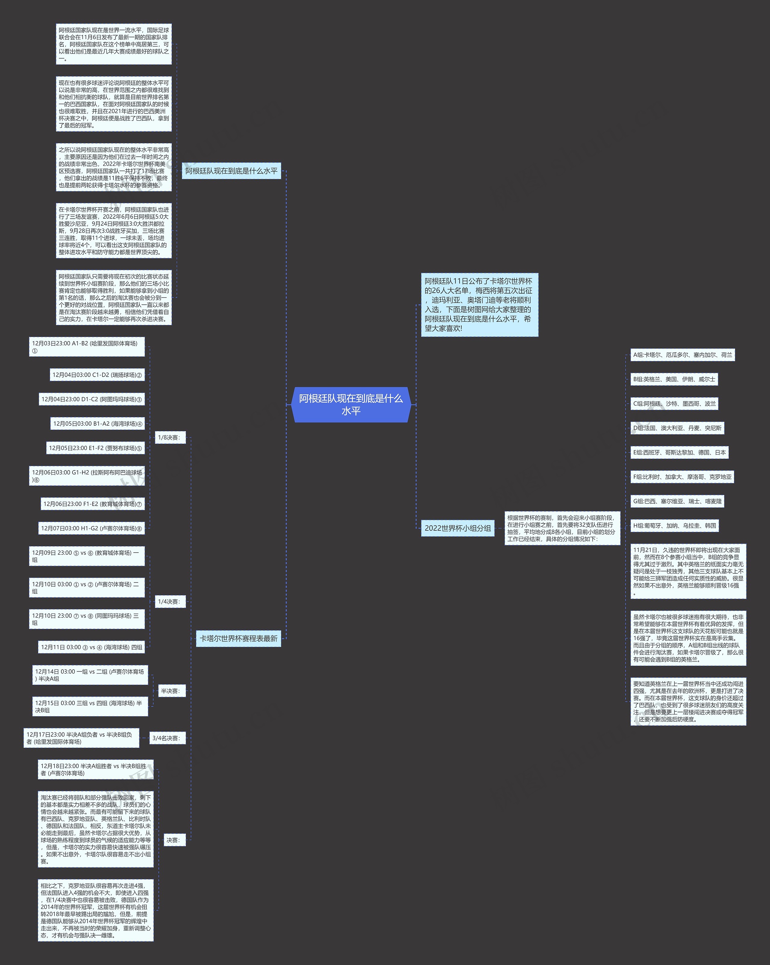 阿根廷队现在到底是什么水平思维导图