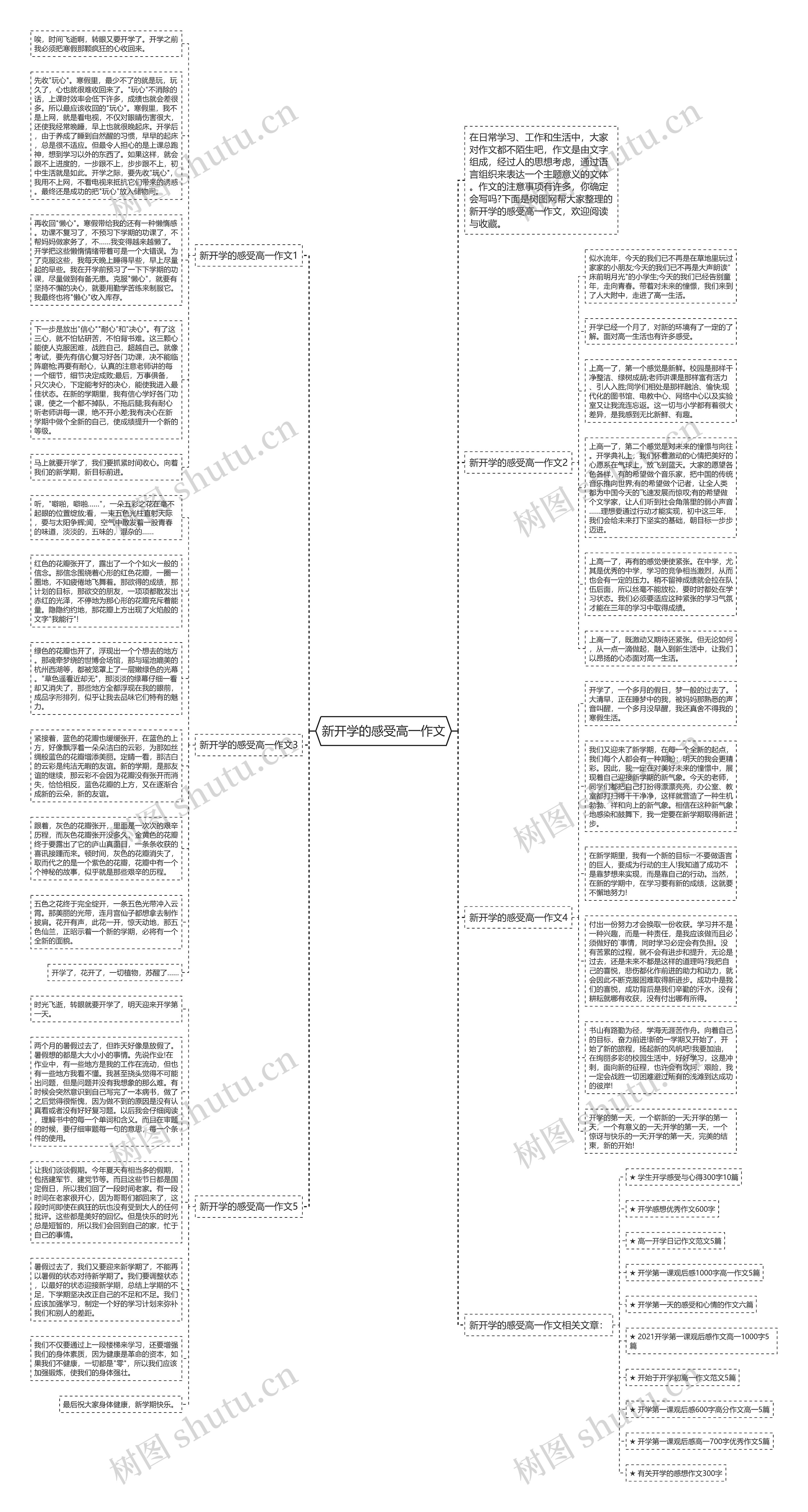 新开学的感受高一作文