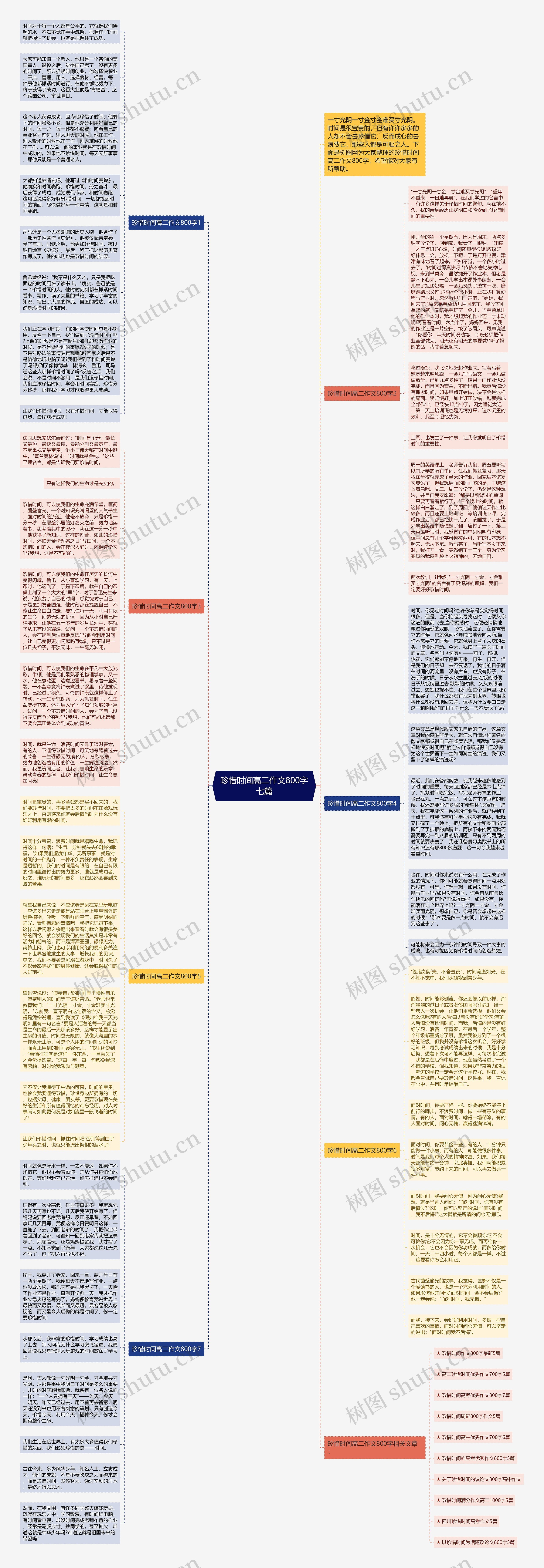 珍惜时间高二作文800字七篇思维导图