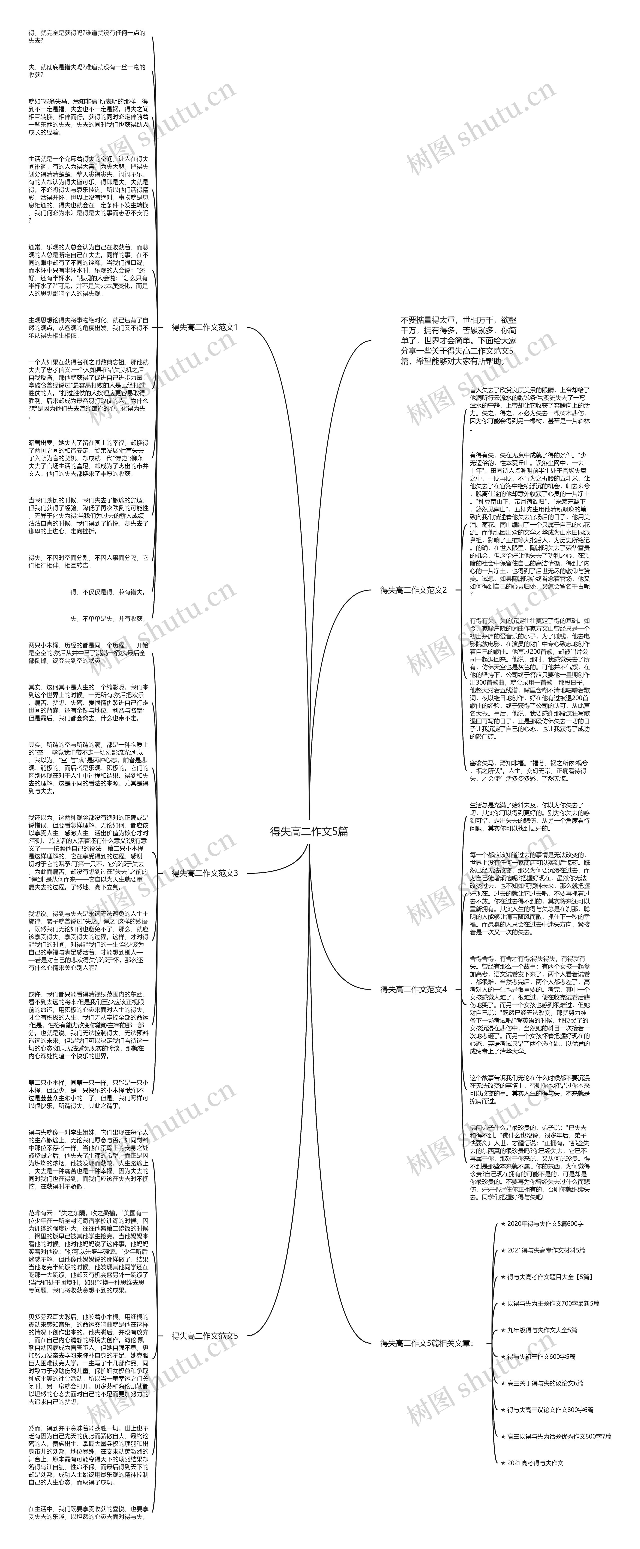 得失高二作文5篇思维导图