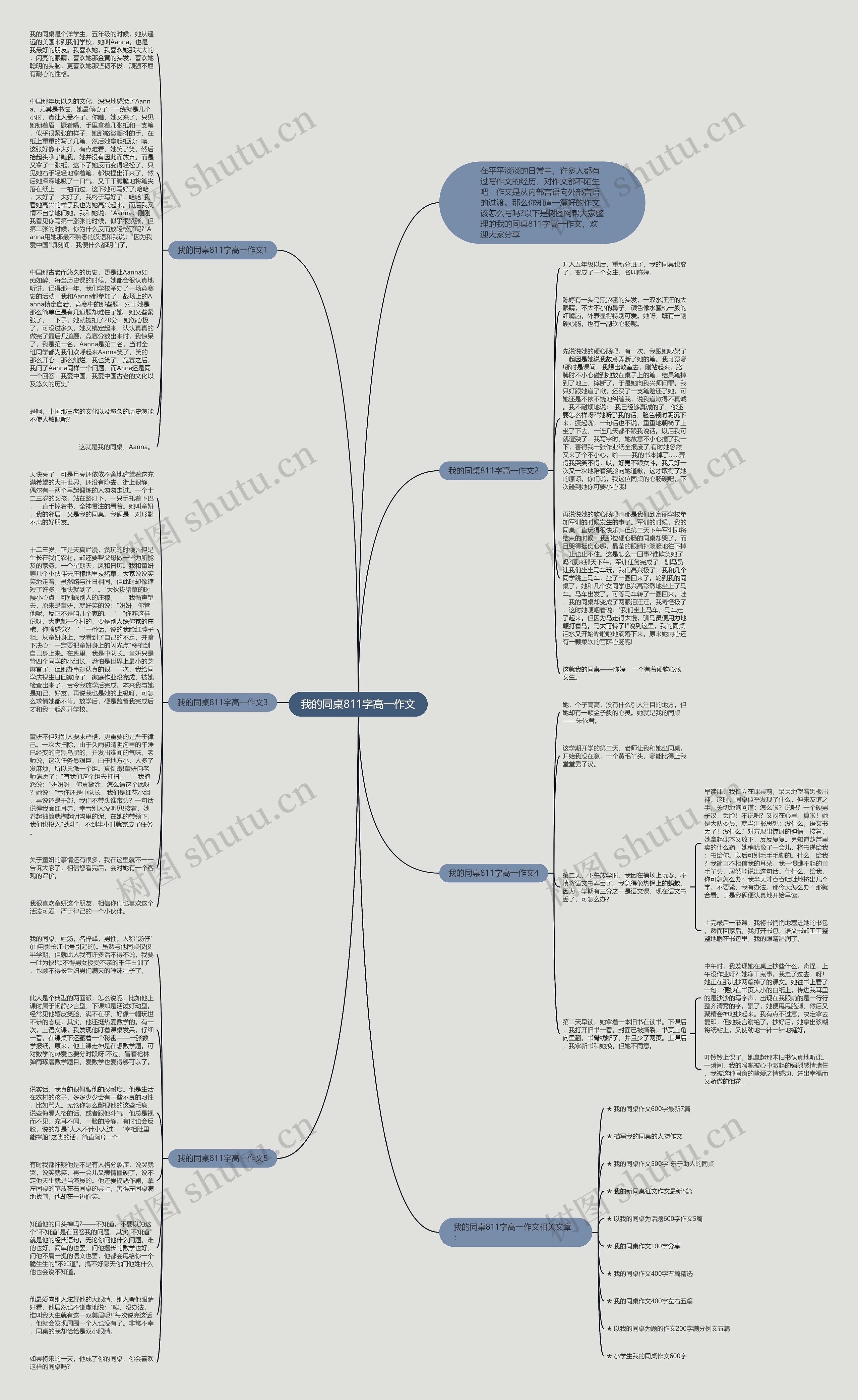 我的同桌811字高一作文思维导图