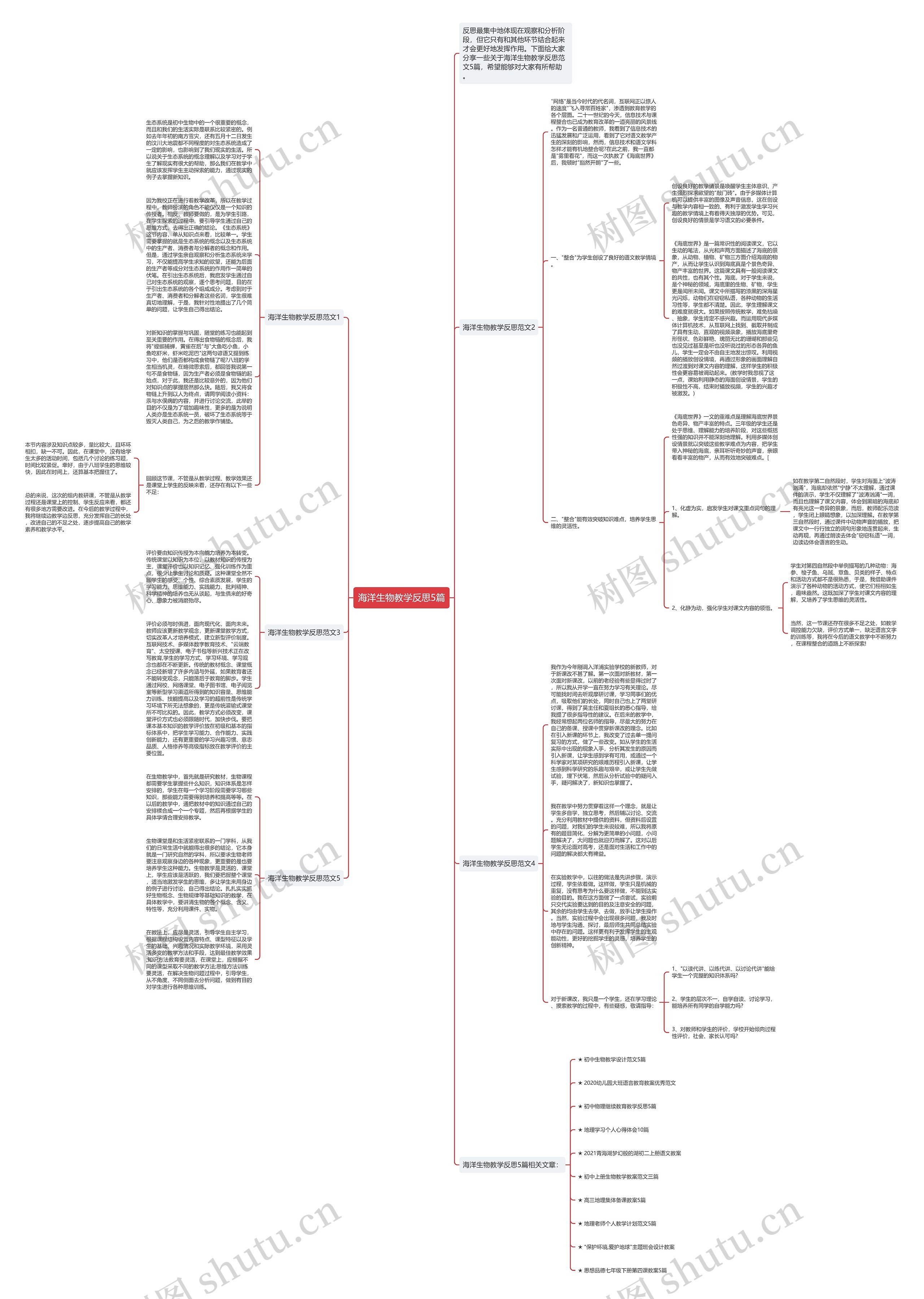 海洋生物教学反思5篇思维导图高清图 海洋生物教学反思5篇思维导图