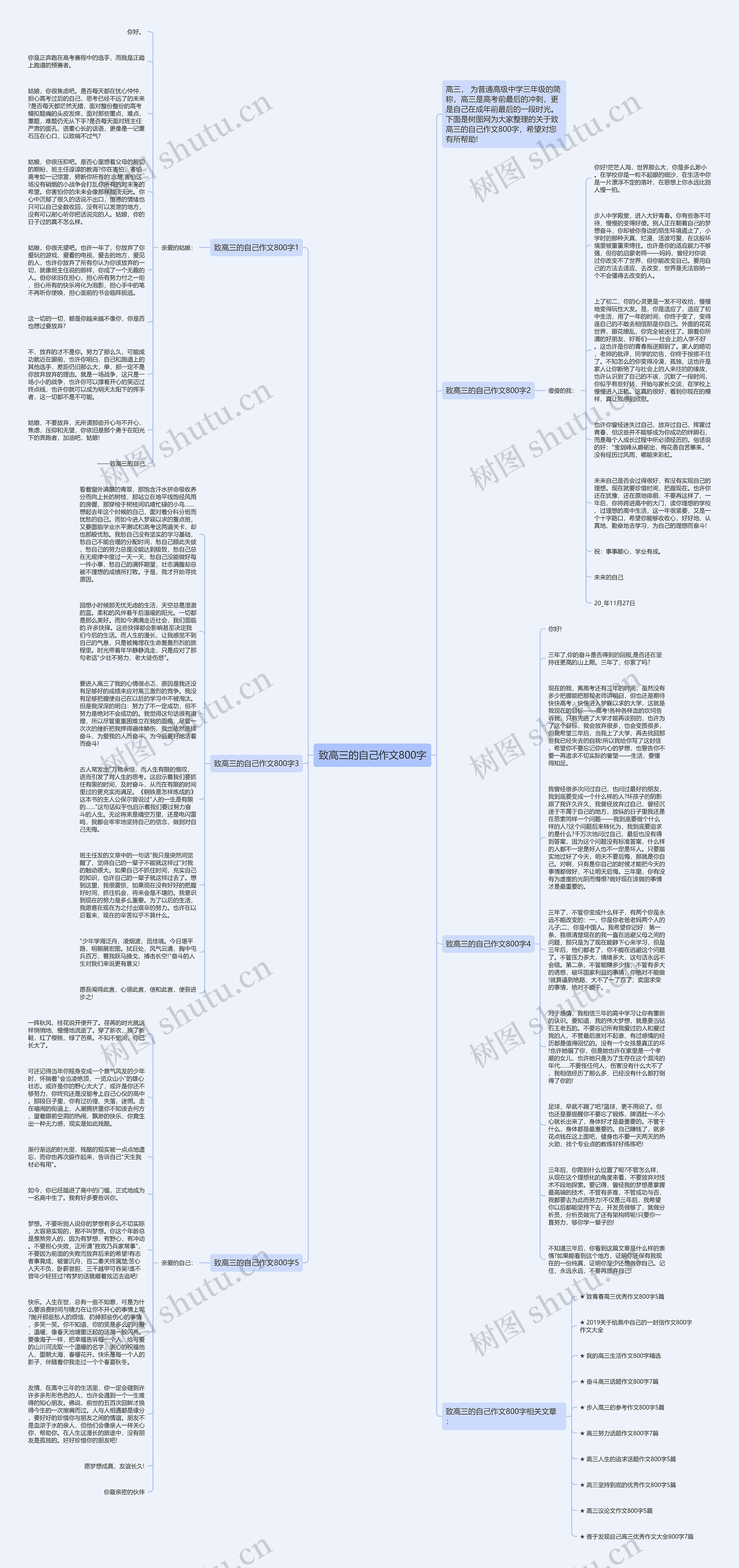 致高三的自己作文800字思维导图