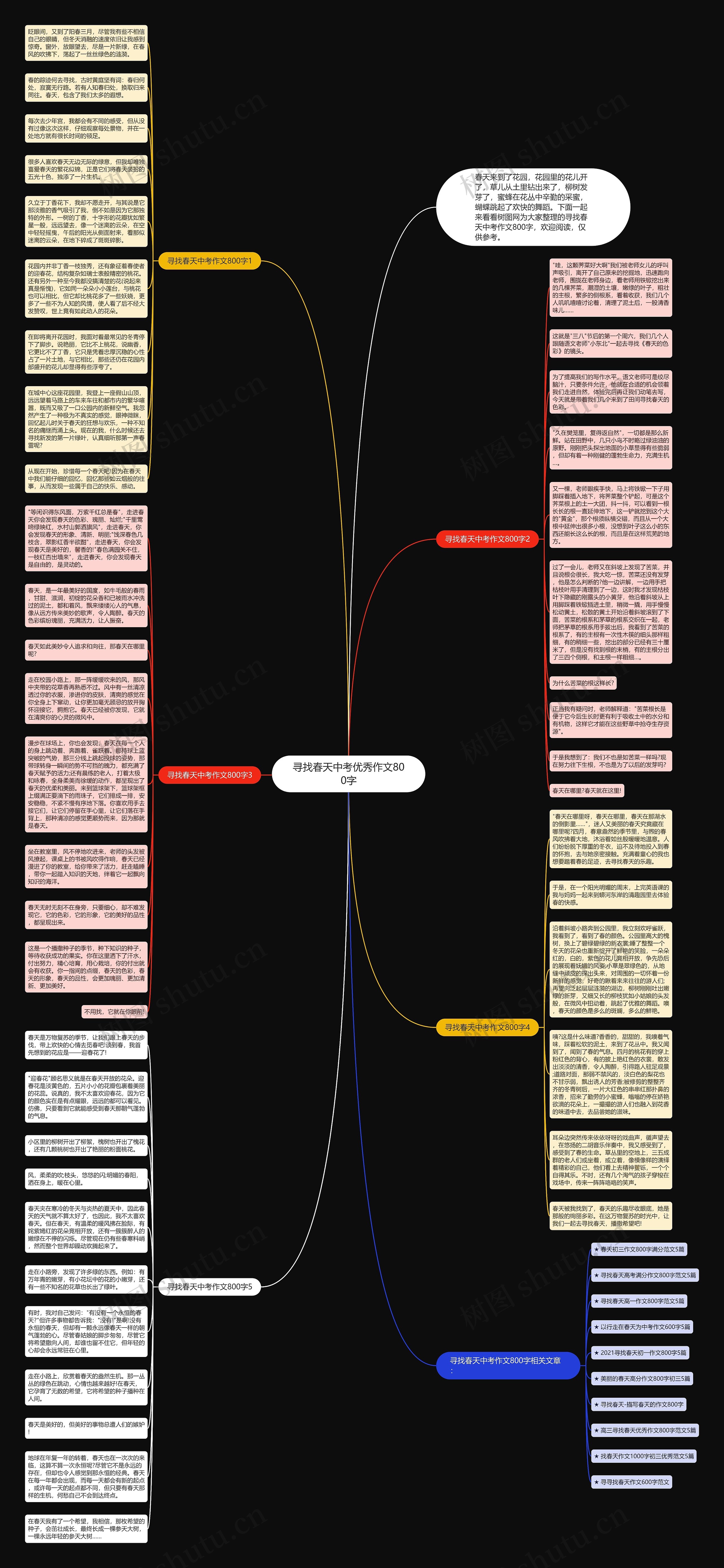 寻找春天中考优秀作文800字思维导图